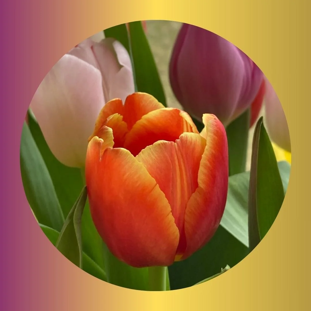 MOM-PAGE7 florals 2024.jpg