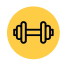 Weight Icon.png