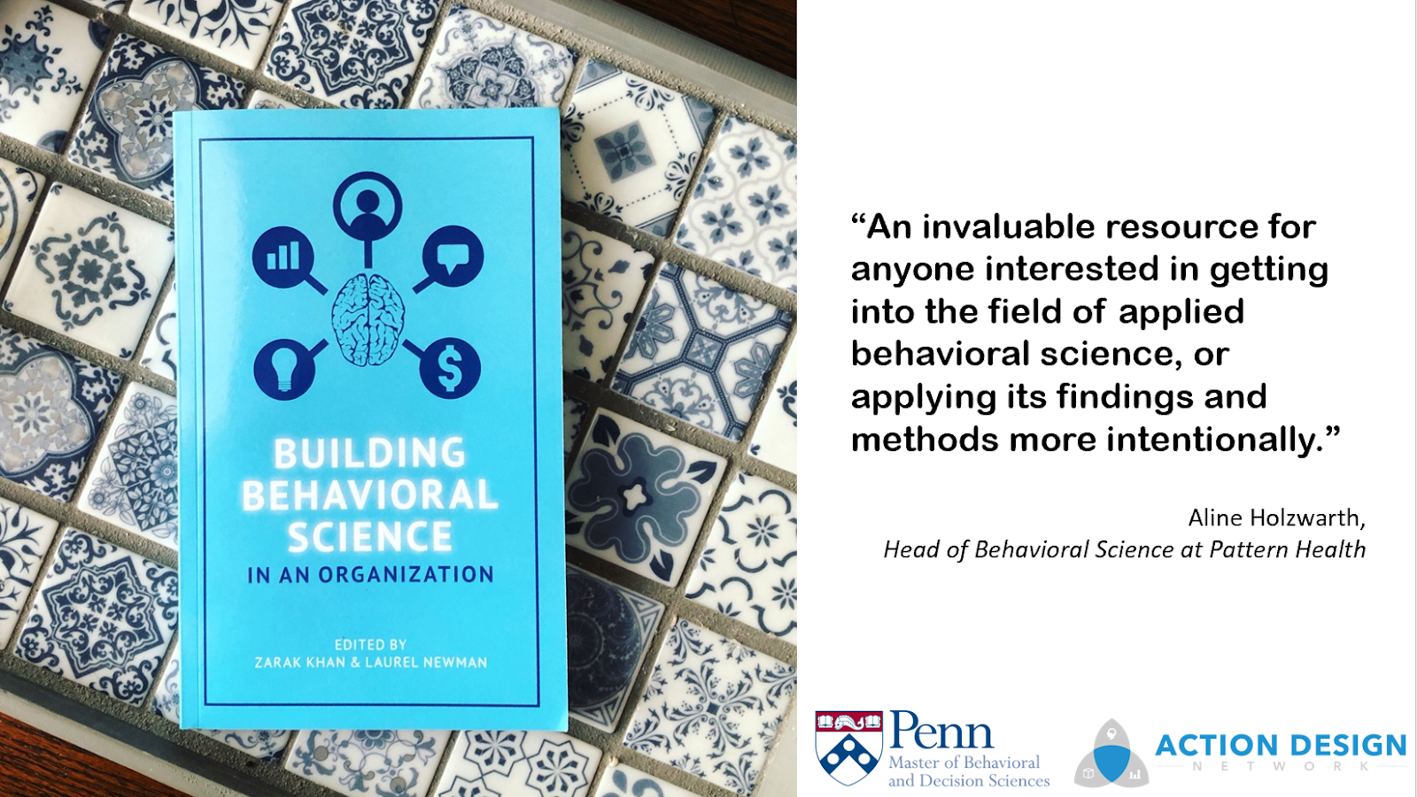   Building Behavioral Science In An Organization: 