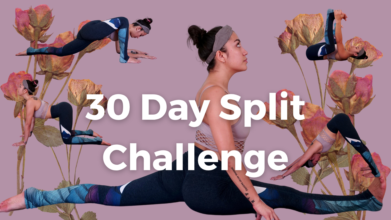 30 day split challenge — ryinamber