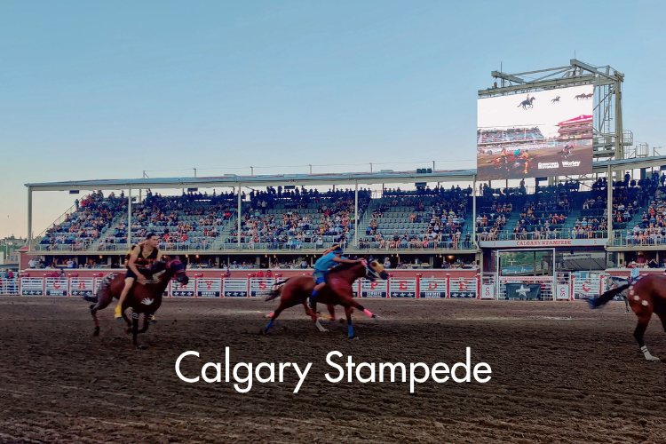 Calgary Stampede Grandstand Screens