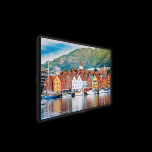 Vestel 55" TV Monitor