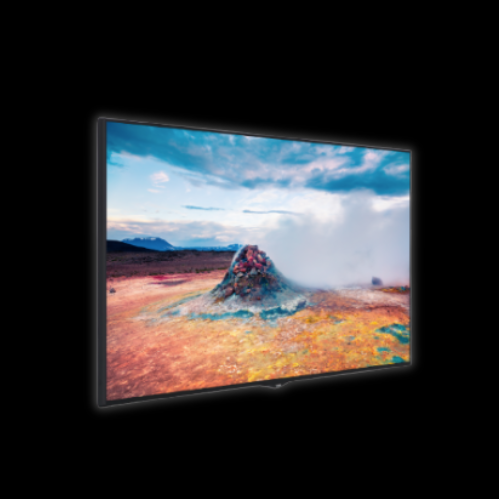 Vestel 65" TV Monitor
