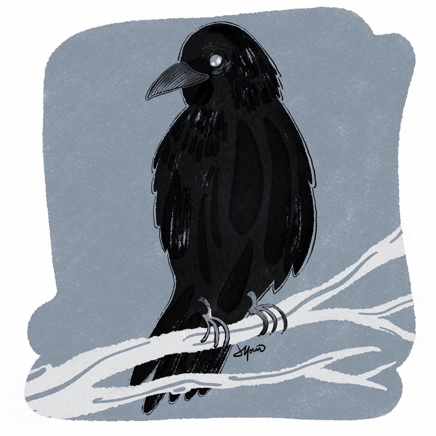 Redoing some stuff. It was super snowy recently and it made me want to draw winter crows all the time. And now I have flowers poking out so 🤷🏻&zwj;♀️