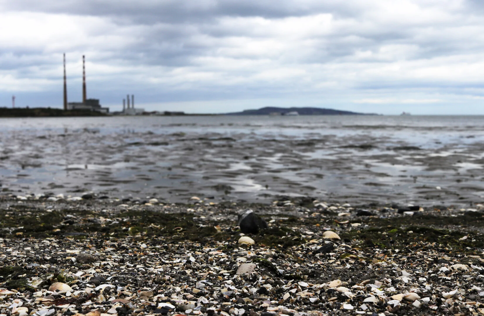  Sandymount Strand, August 2018 