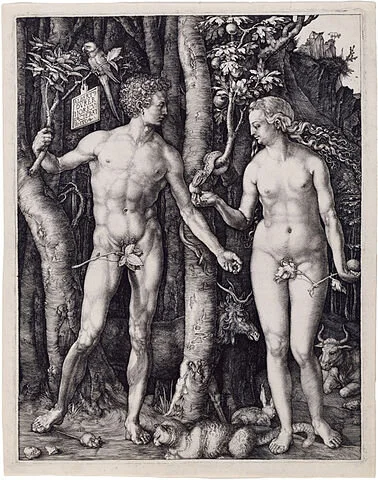   Adam and Eve , Albrecht Dürer, 1504 