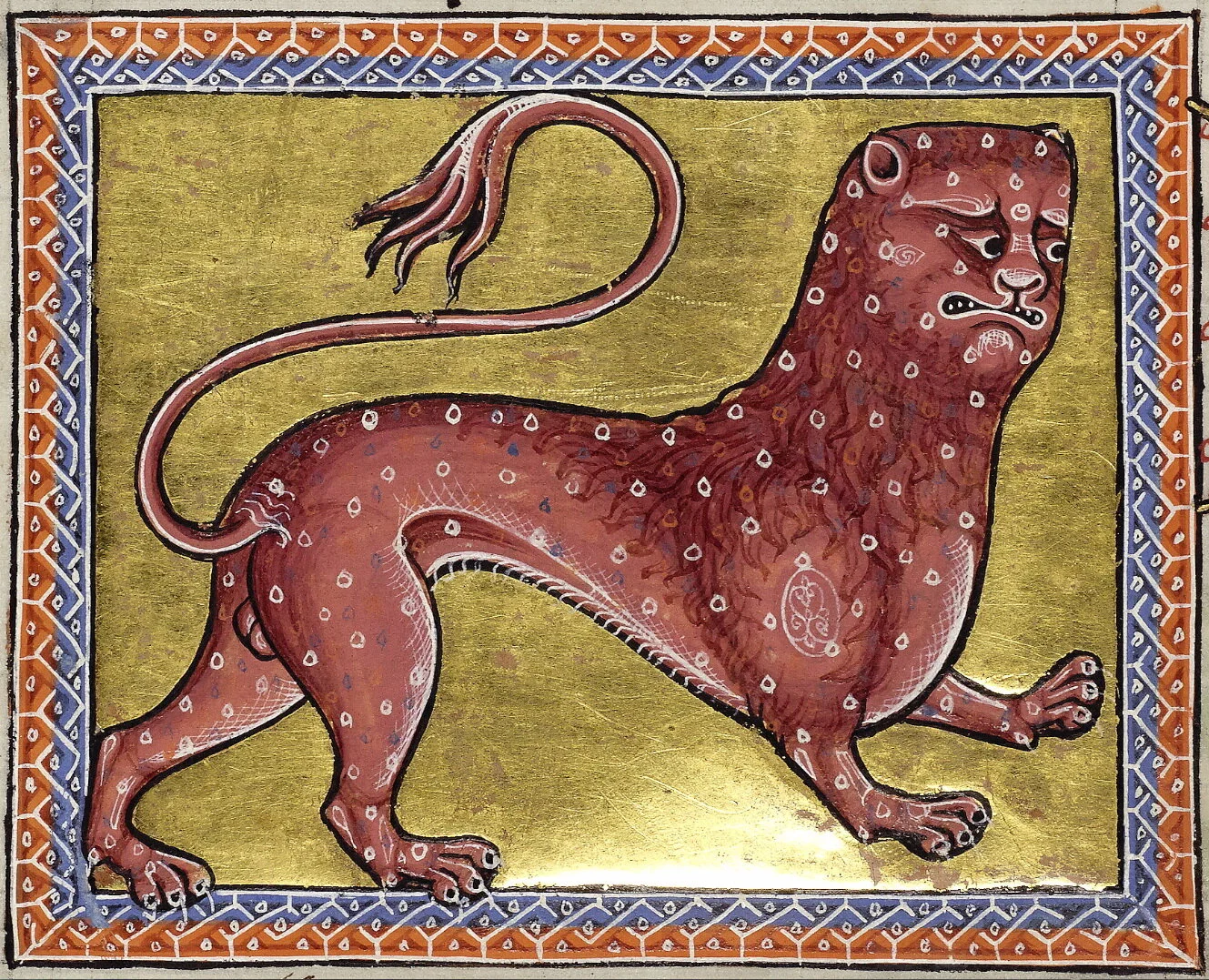  A pard, form the Aberdeen Bestiary, 12th c. 