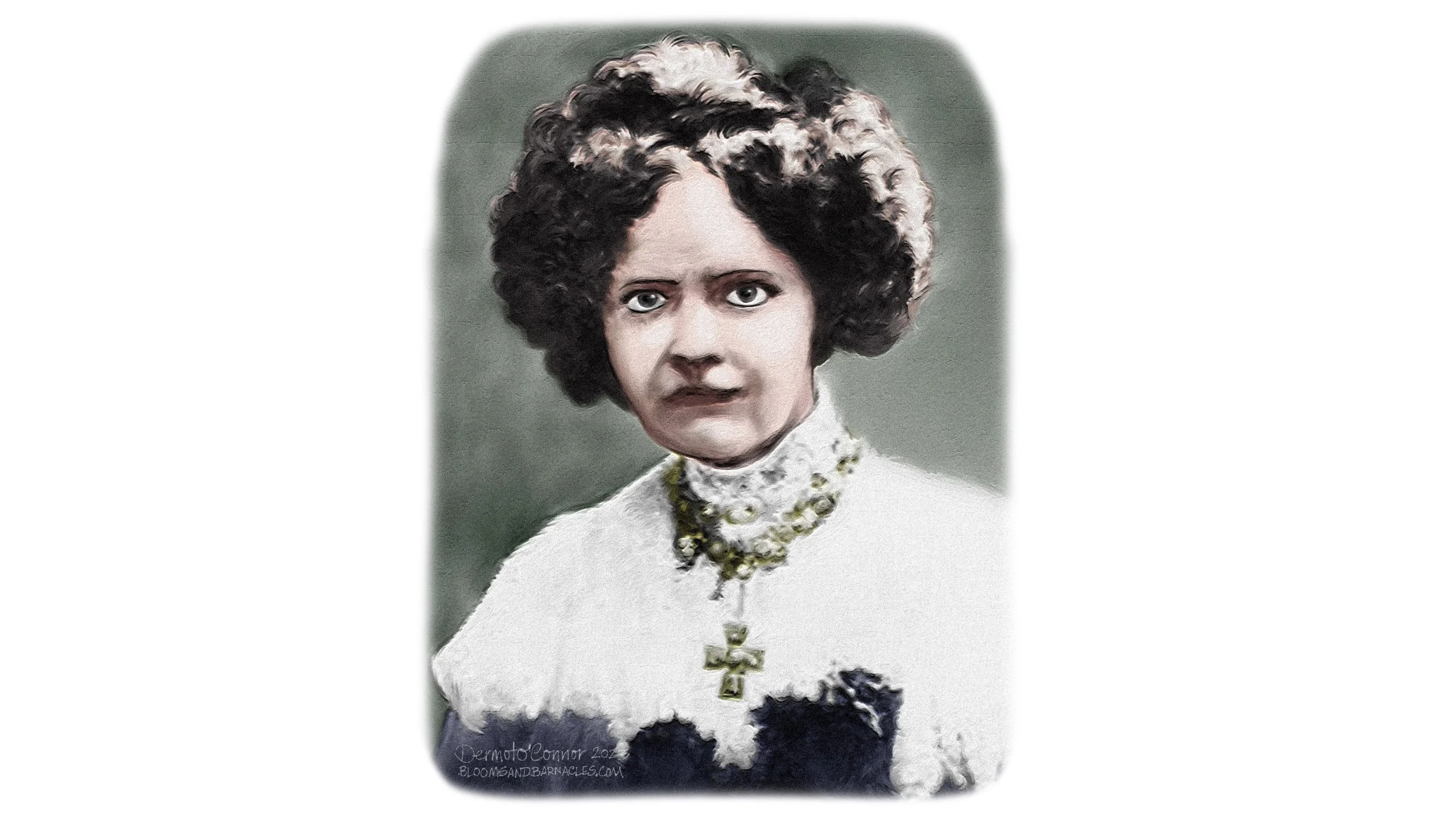  Note: This image is Dermot’s artistic restoration of a photograph of Lizzie Twigg.  