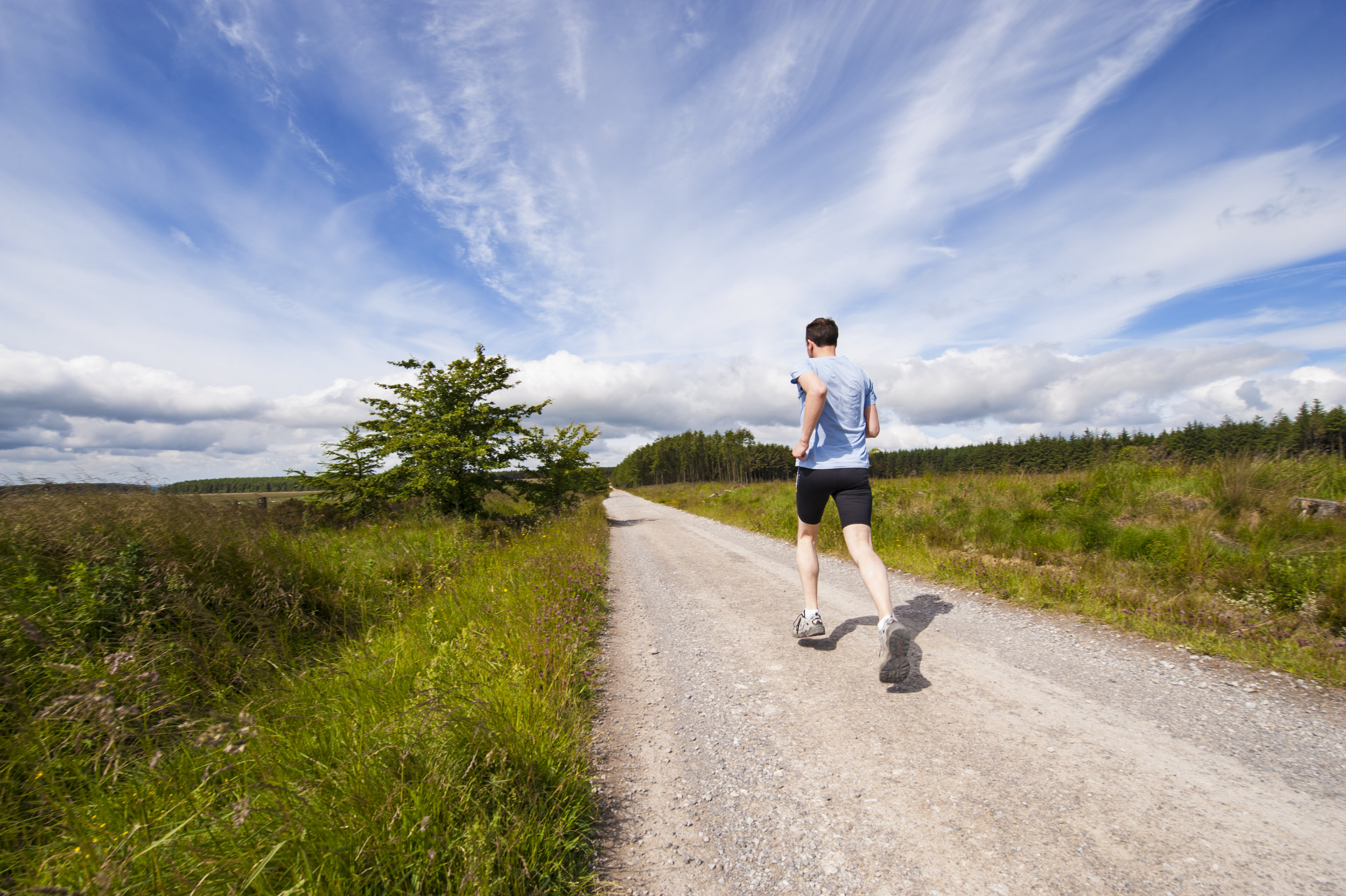 Exercise, Anxiety and the Amygdala