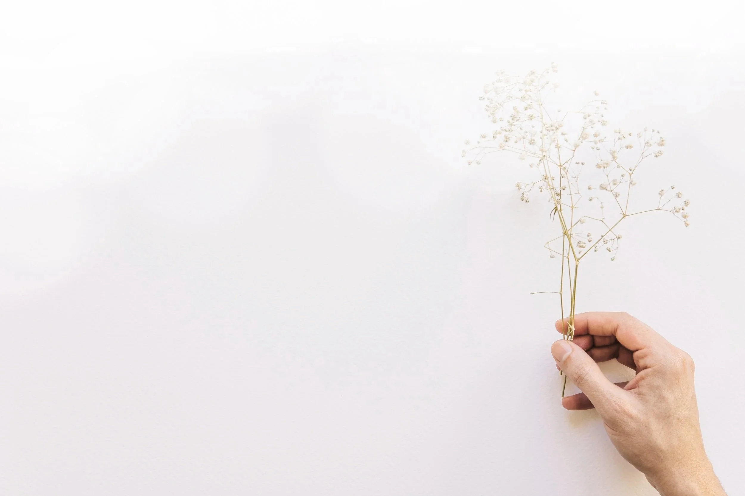 floral-background-with-hand-holding-wildflower.jpg