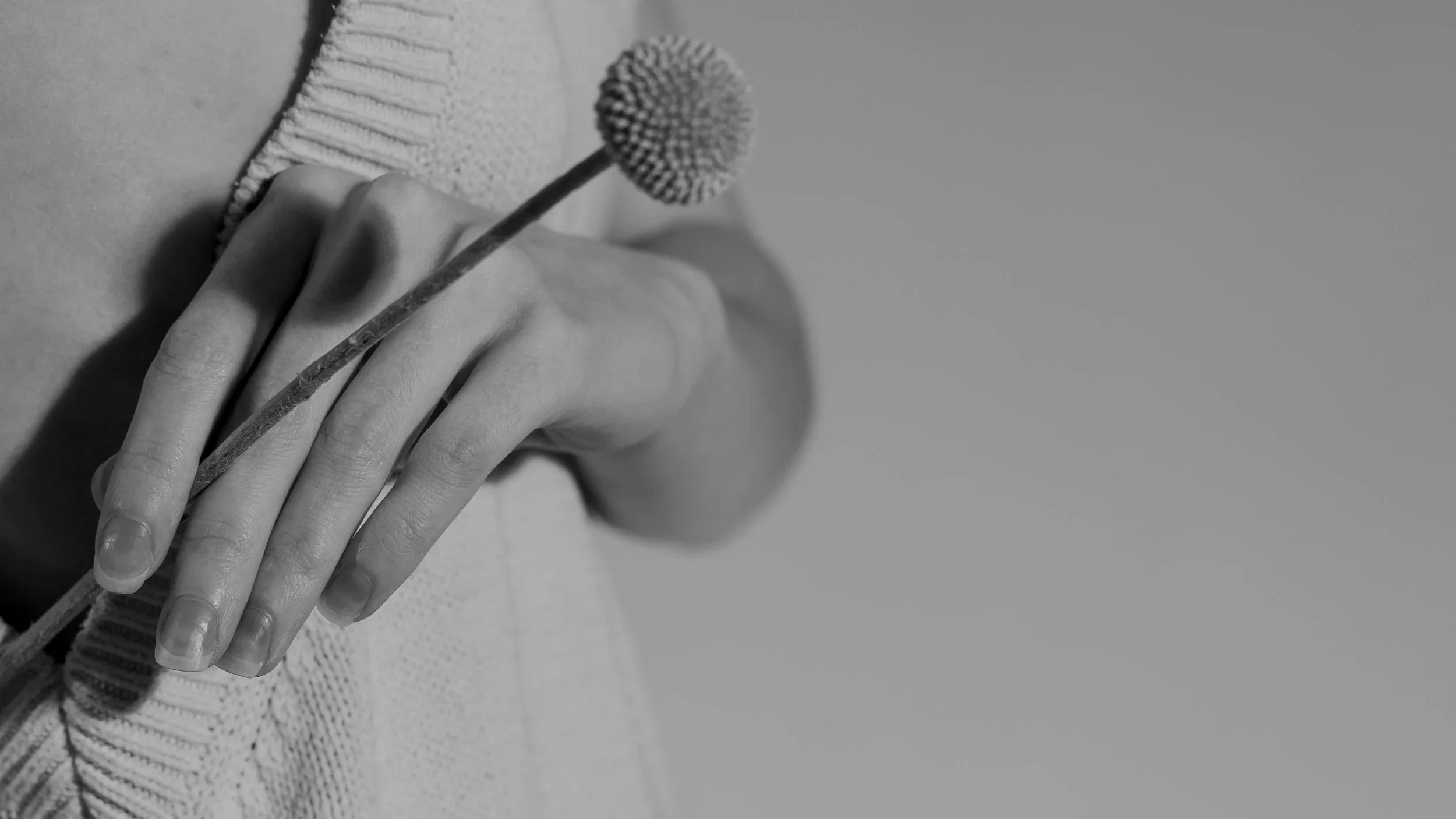 high-angle-hand-holding-plant-black-white.jpg