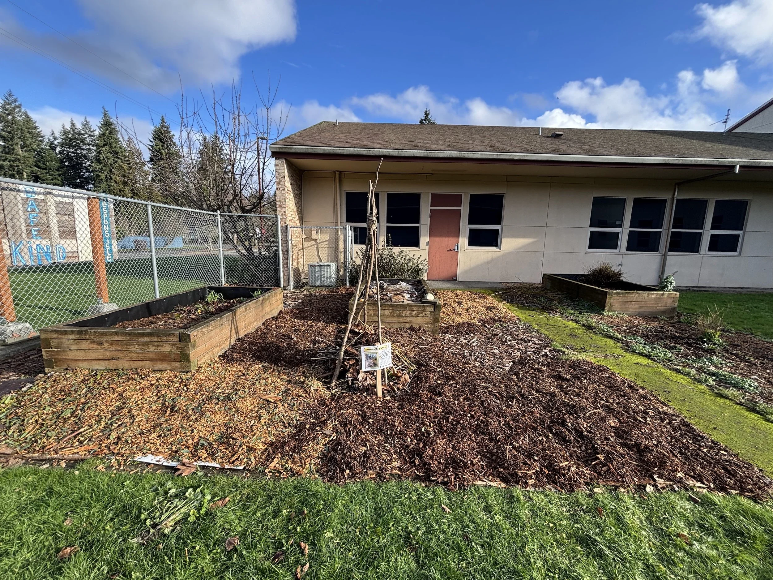 Raised beds.jpg