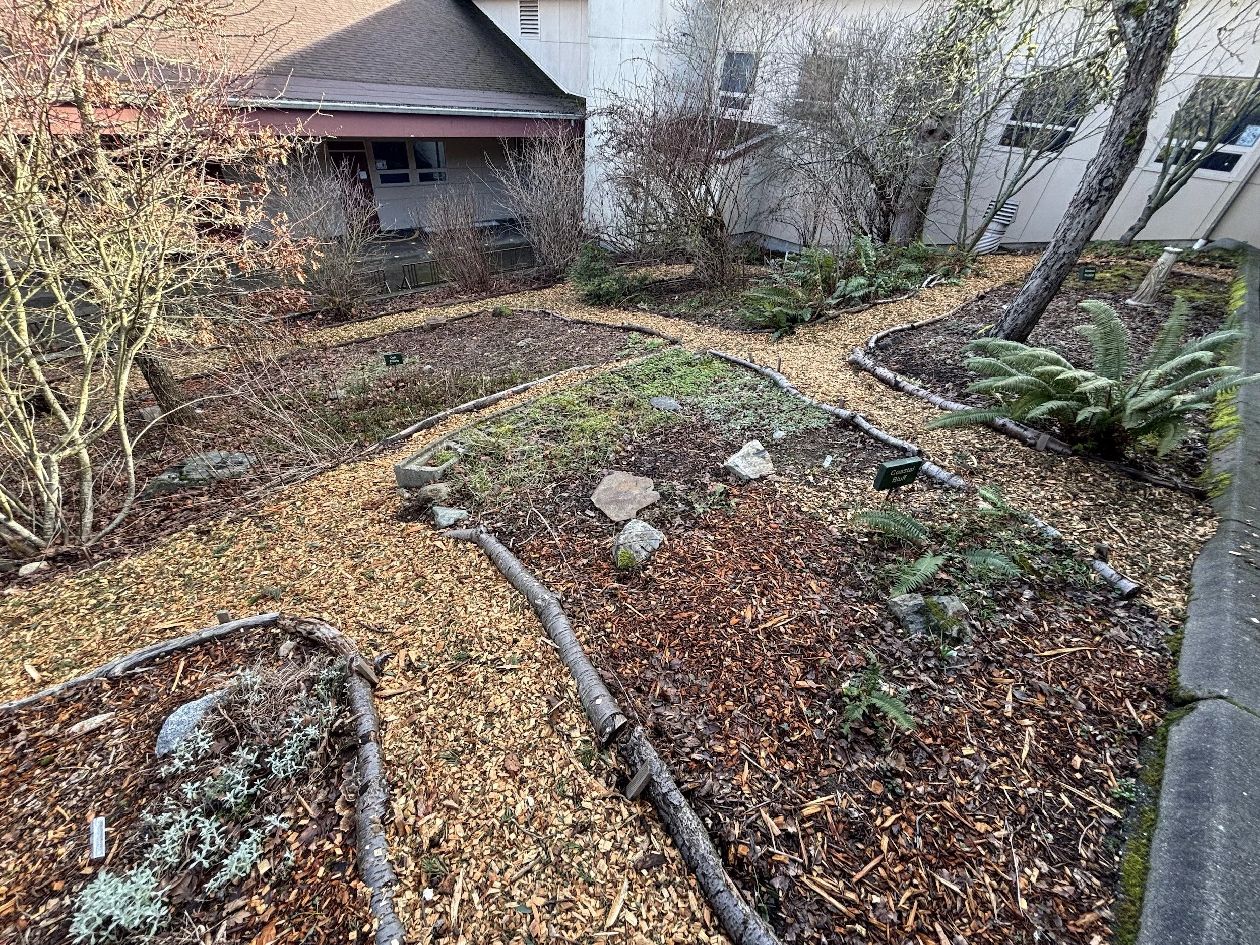 Native plant garden.jpg