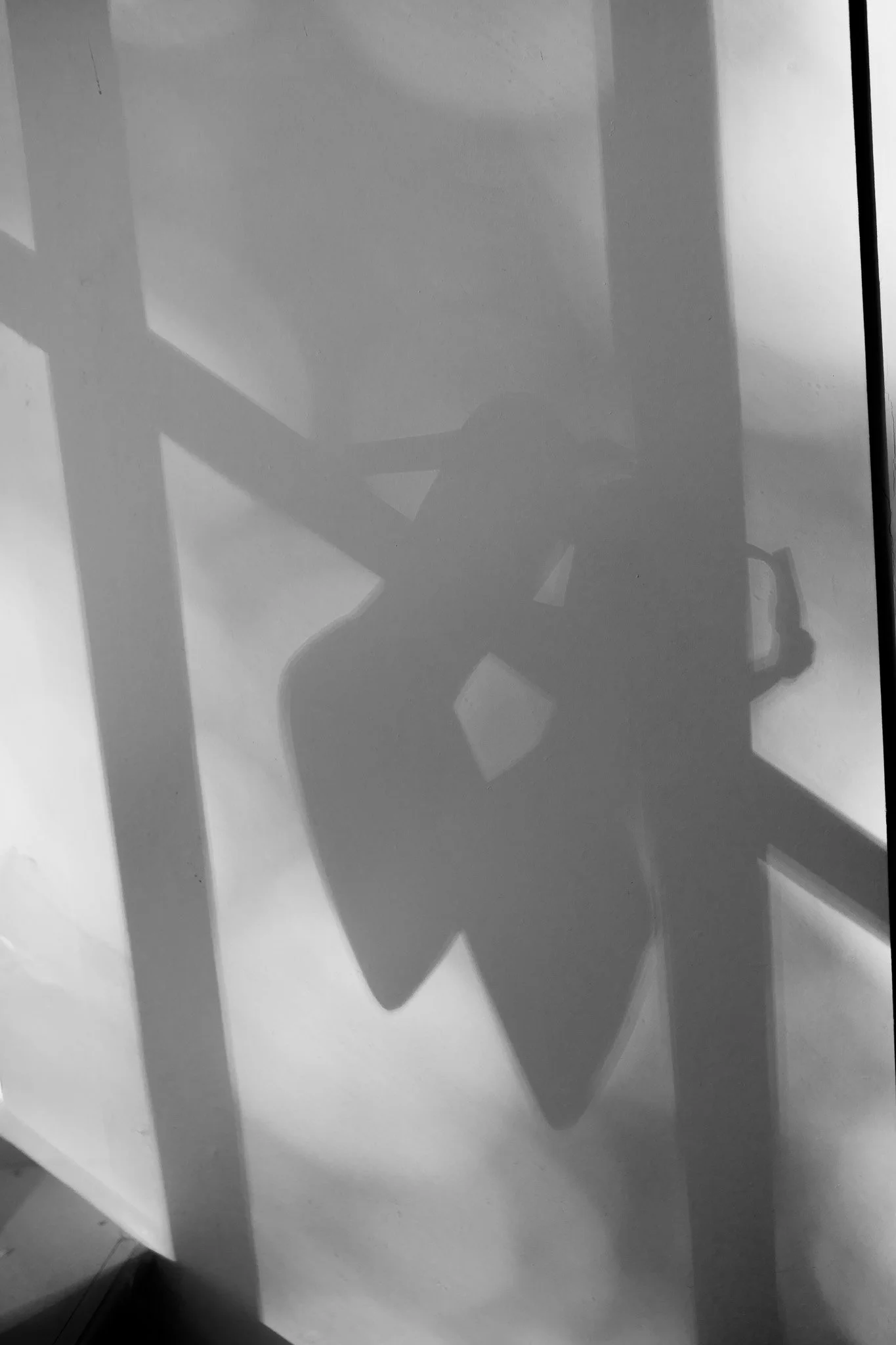 DSC04577.jpeg
