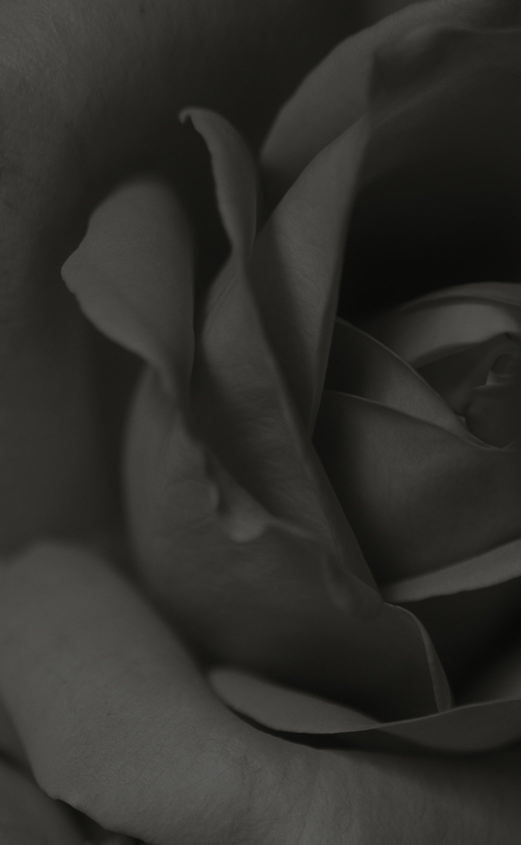 DSC02475.jpeg