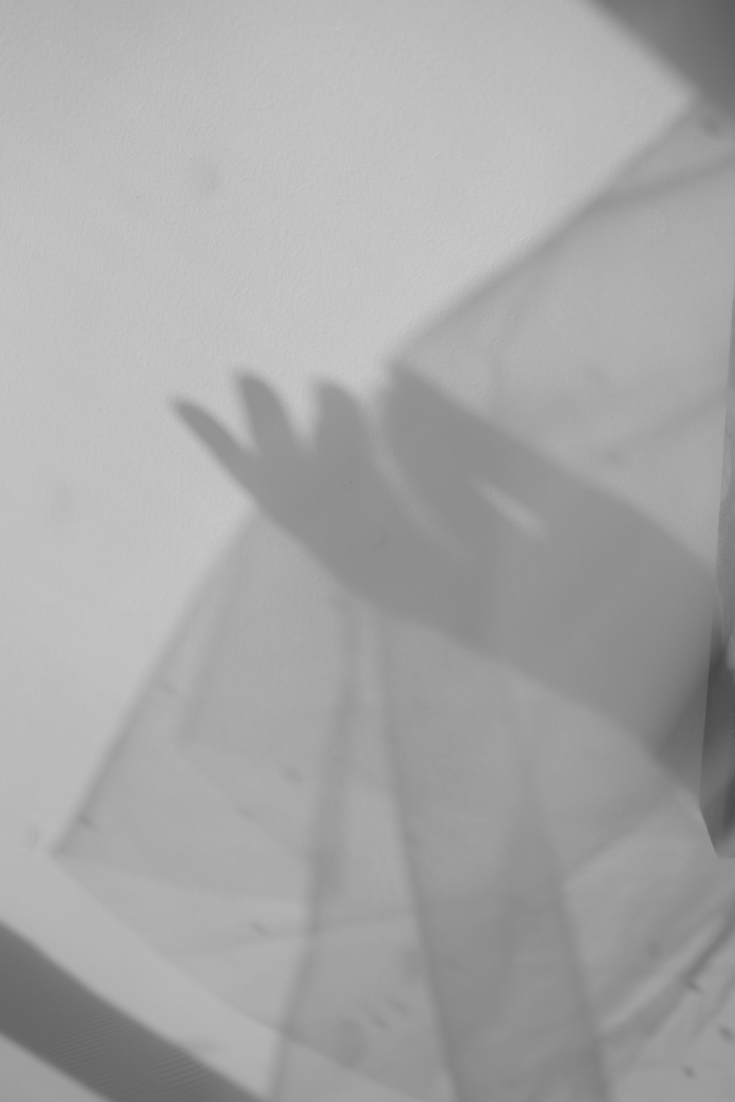 DSC07051.jpeg
