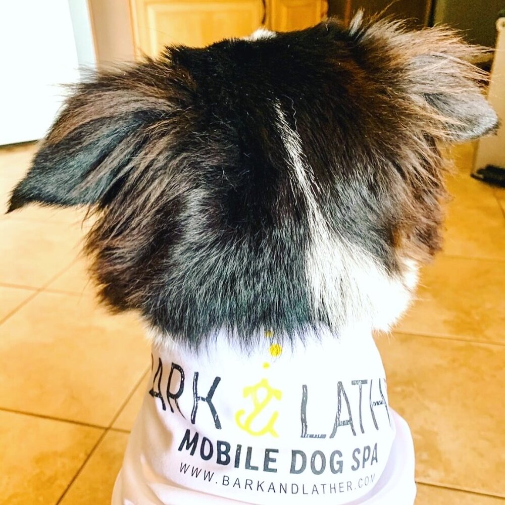 Reviews 1 — Bark & Lather