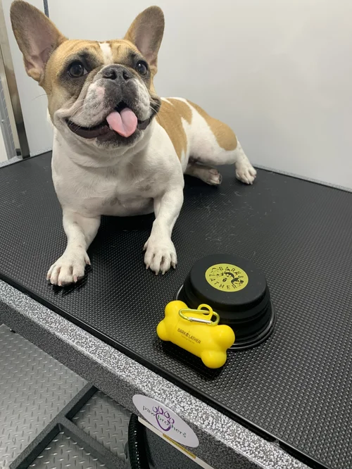 Reviews 1 — Bark & Lather