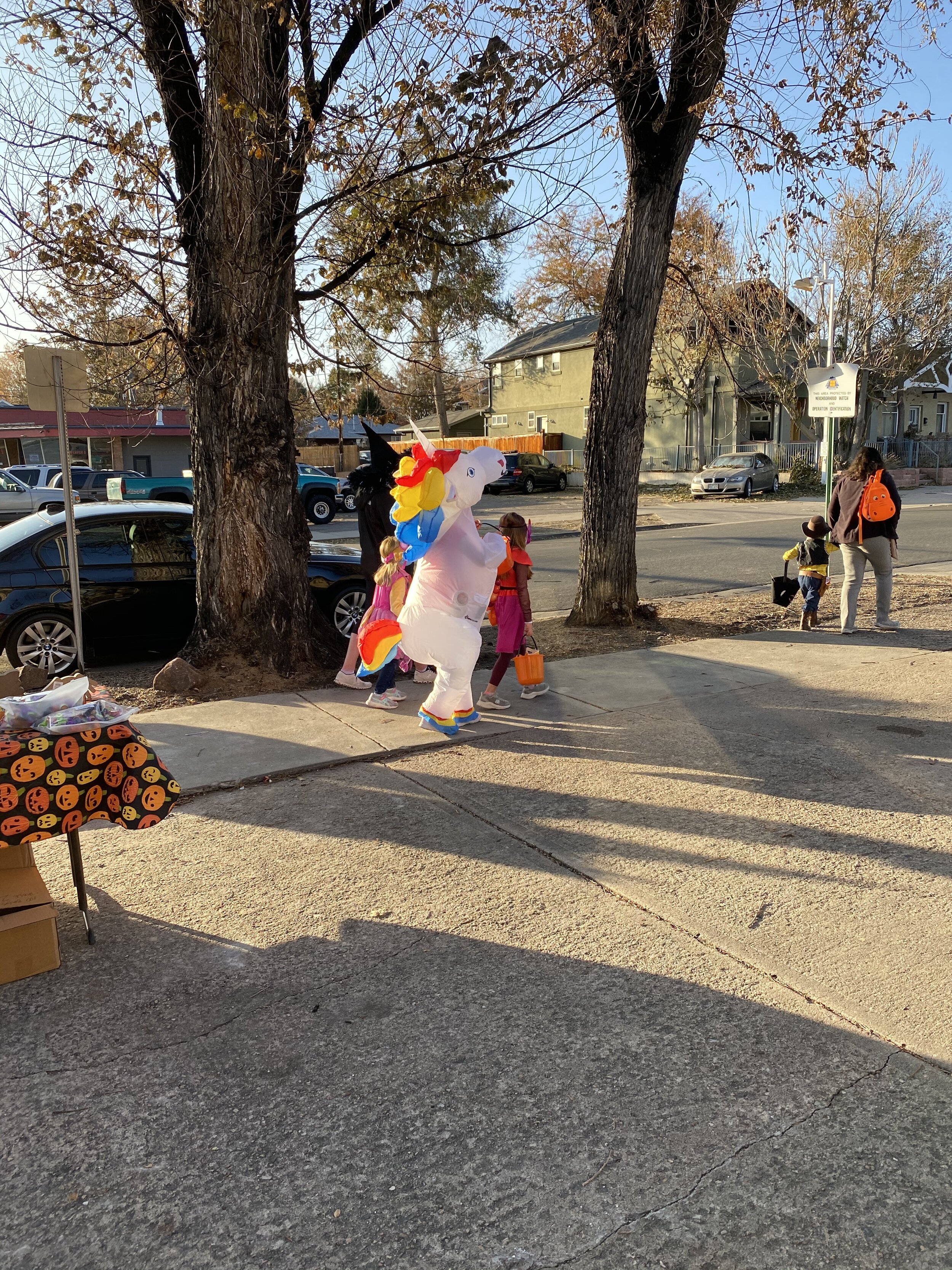 IMG_4061.jpeg