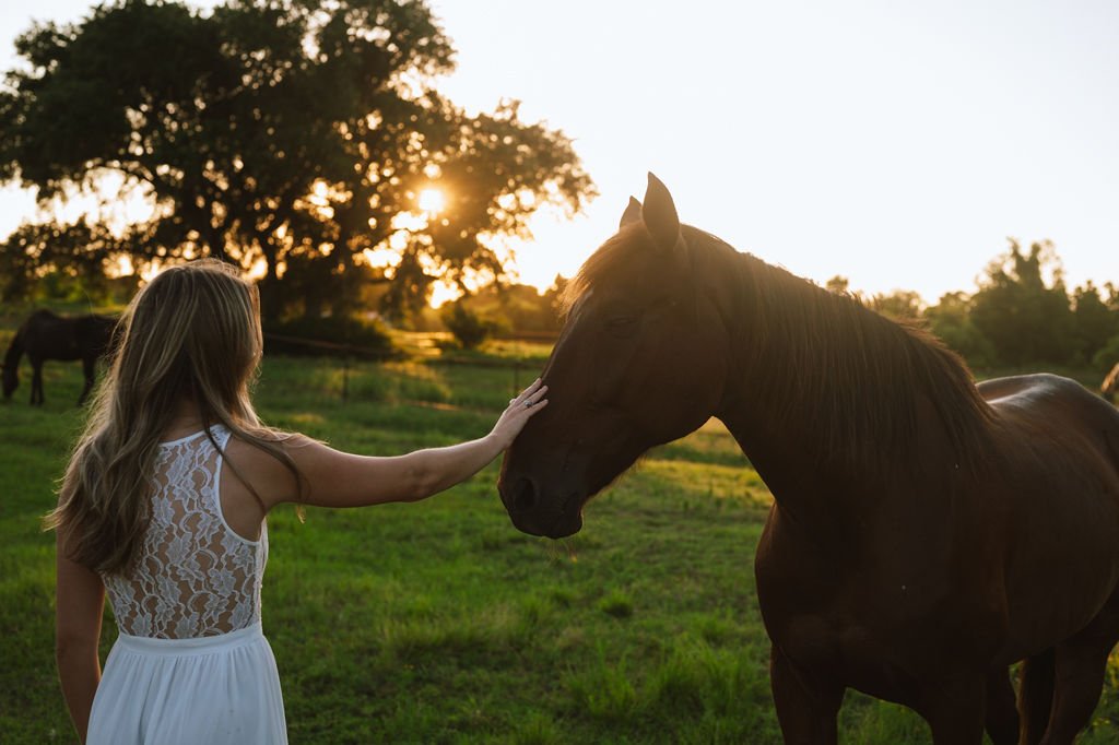 Private Individual & Group Horse Sessions