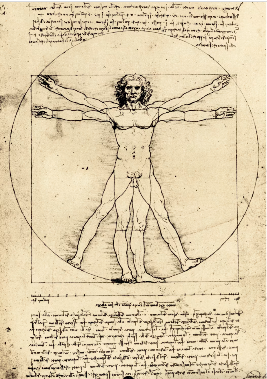 Vitruvian Man by Leonardo da Vinci.png