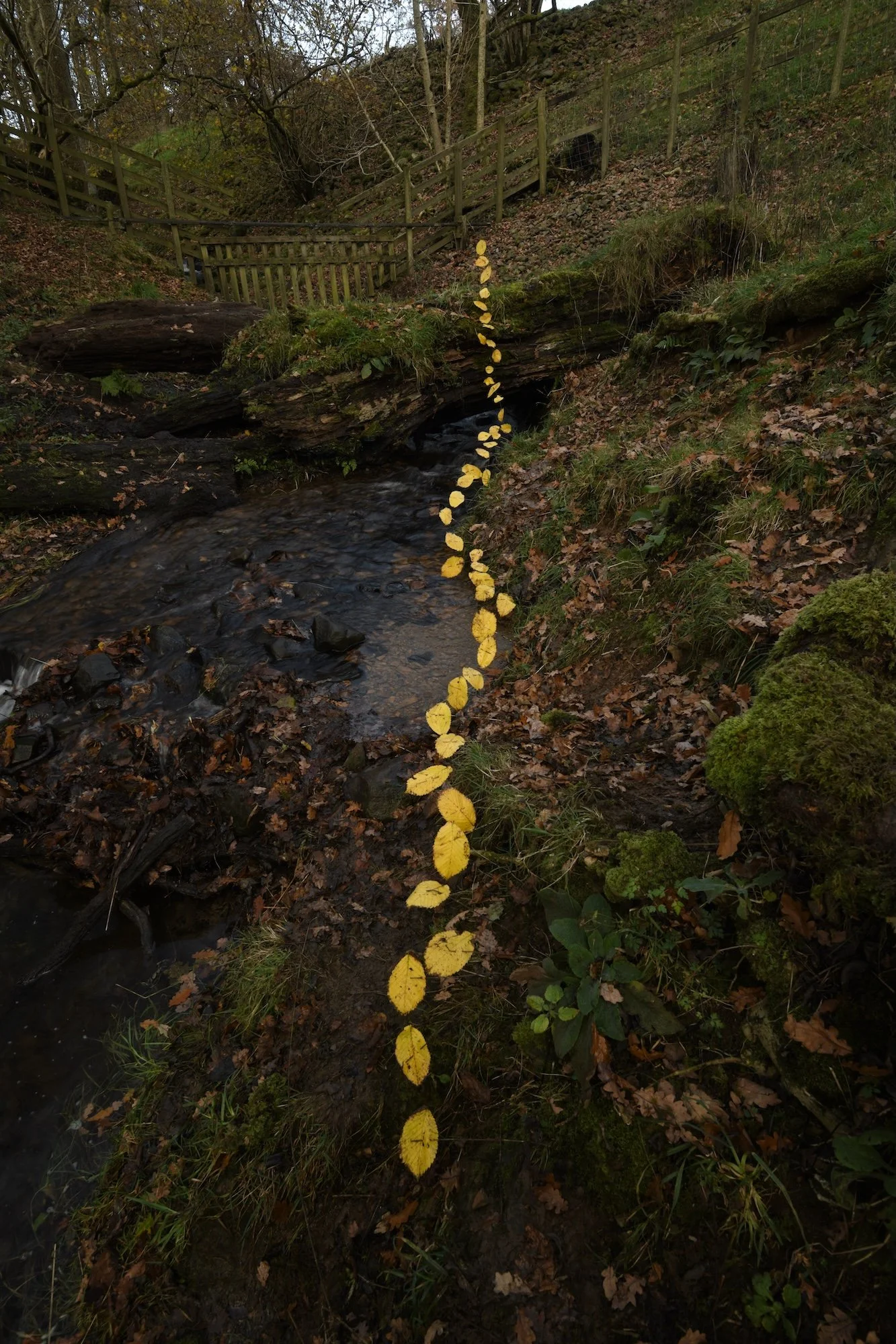Andy-Goldsworthy-For-Olle-blog-image
