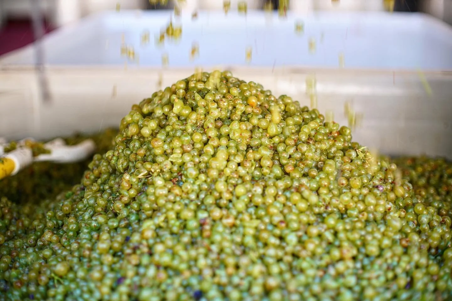 The beginnings of Calypso 2023.