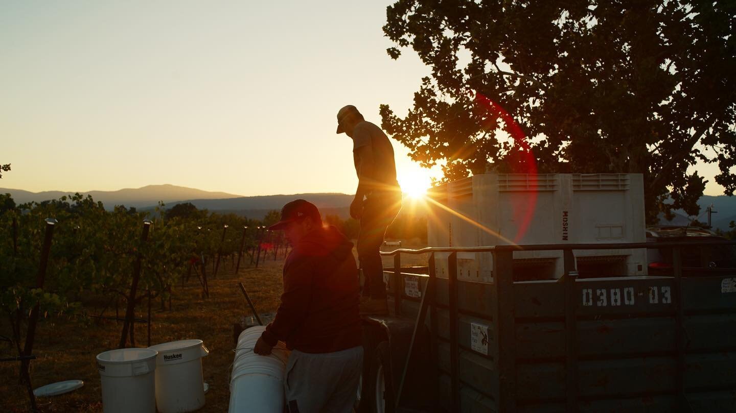 Sunrise in Round Valley (Northern Mendocino). Home to our Tempranillo and Pinot Noir, the only vineyard in the Covelo AVA.