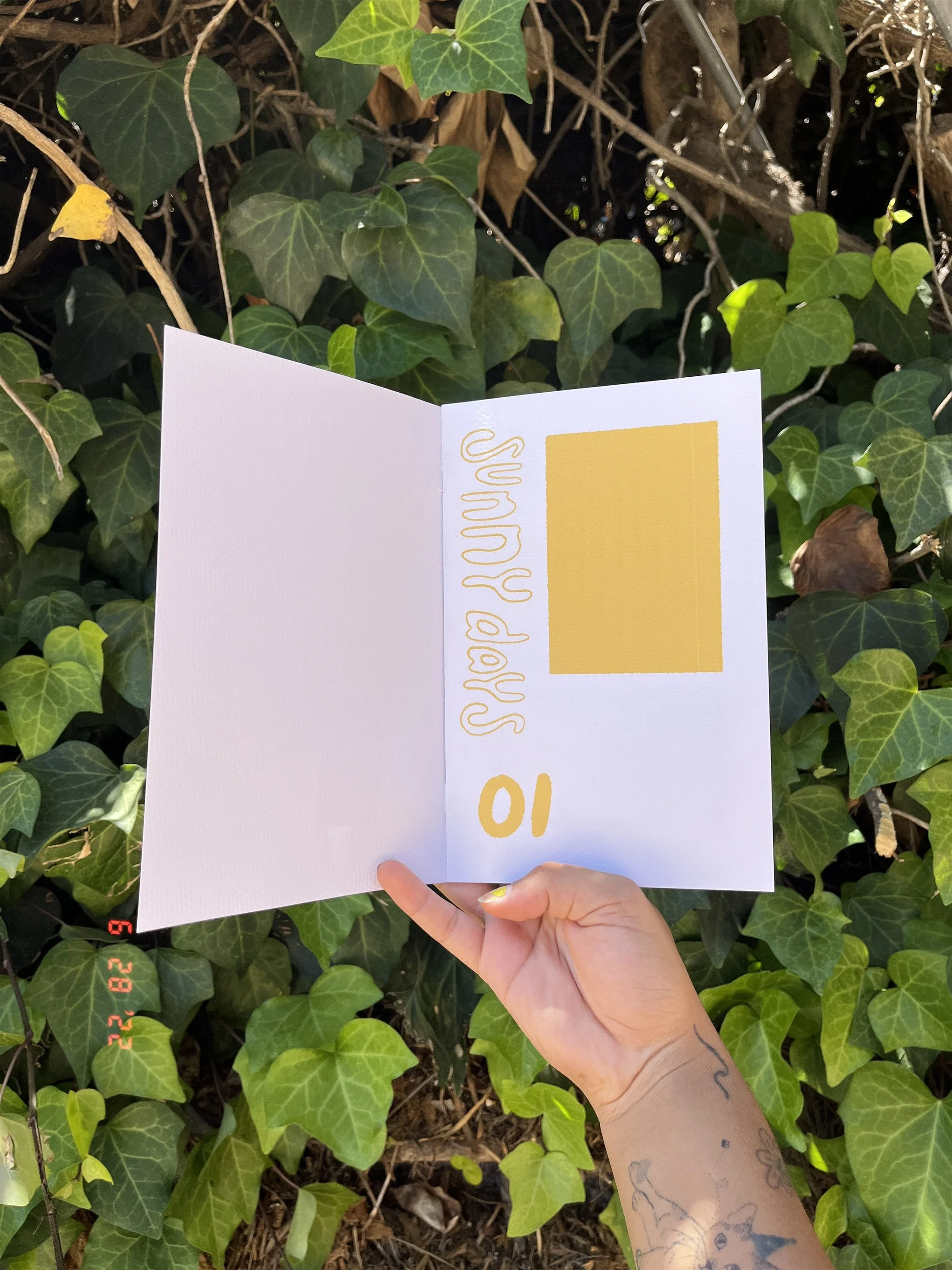 original 2022-06-28 140251.115.JPG