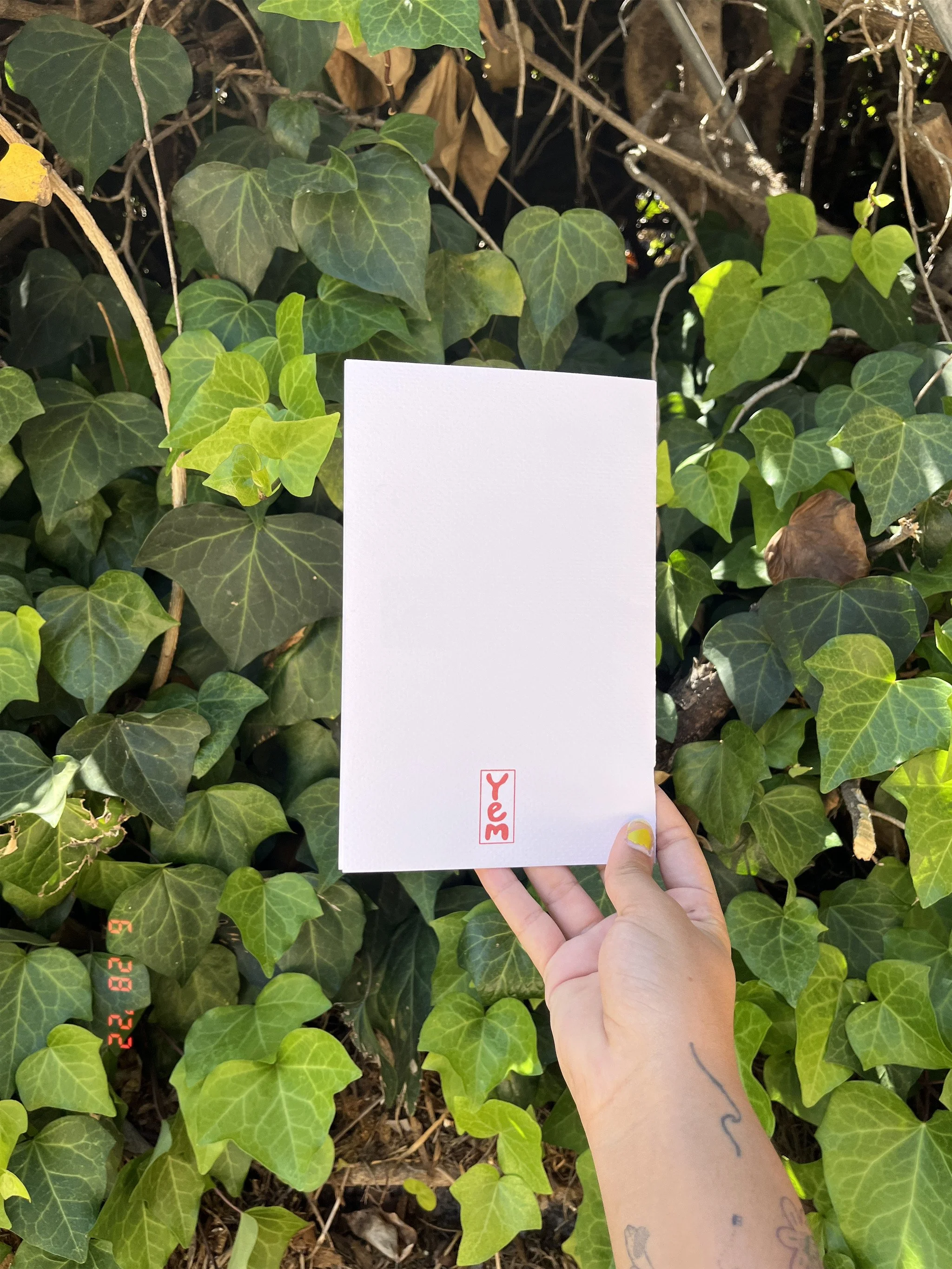 original 2022-06-28 140259.283.JPG