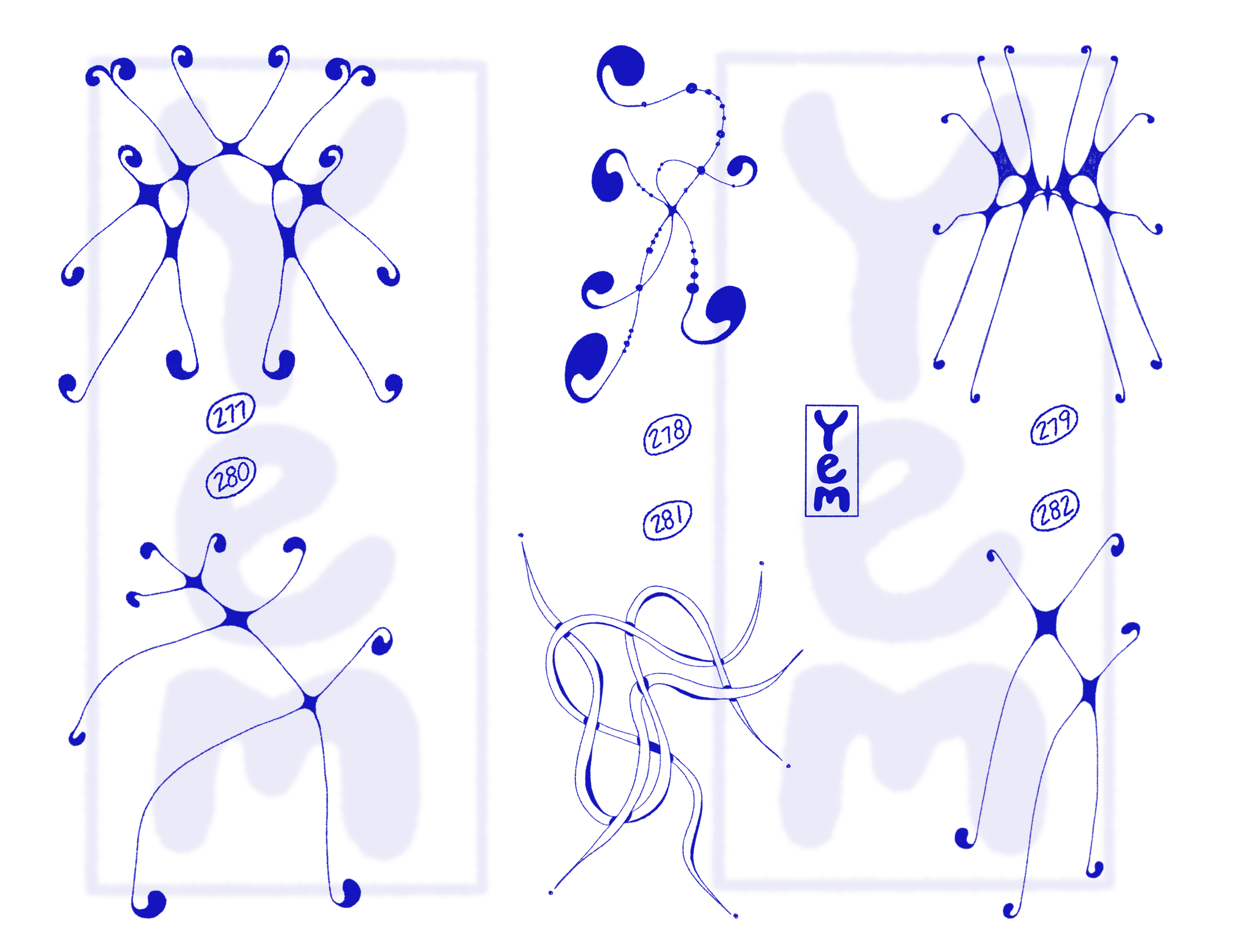 IMG_1260.png