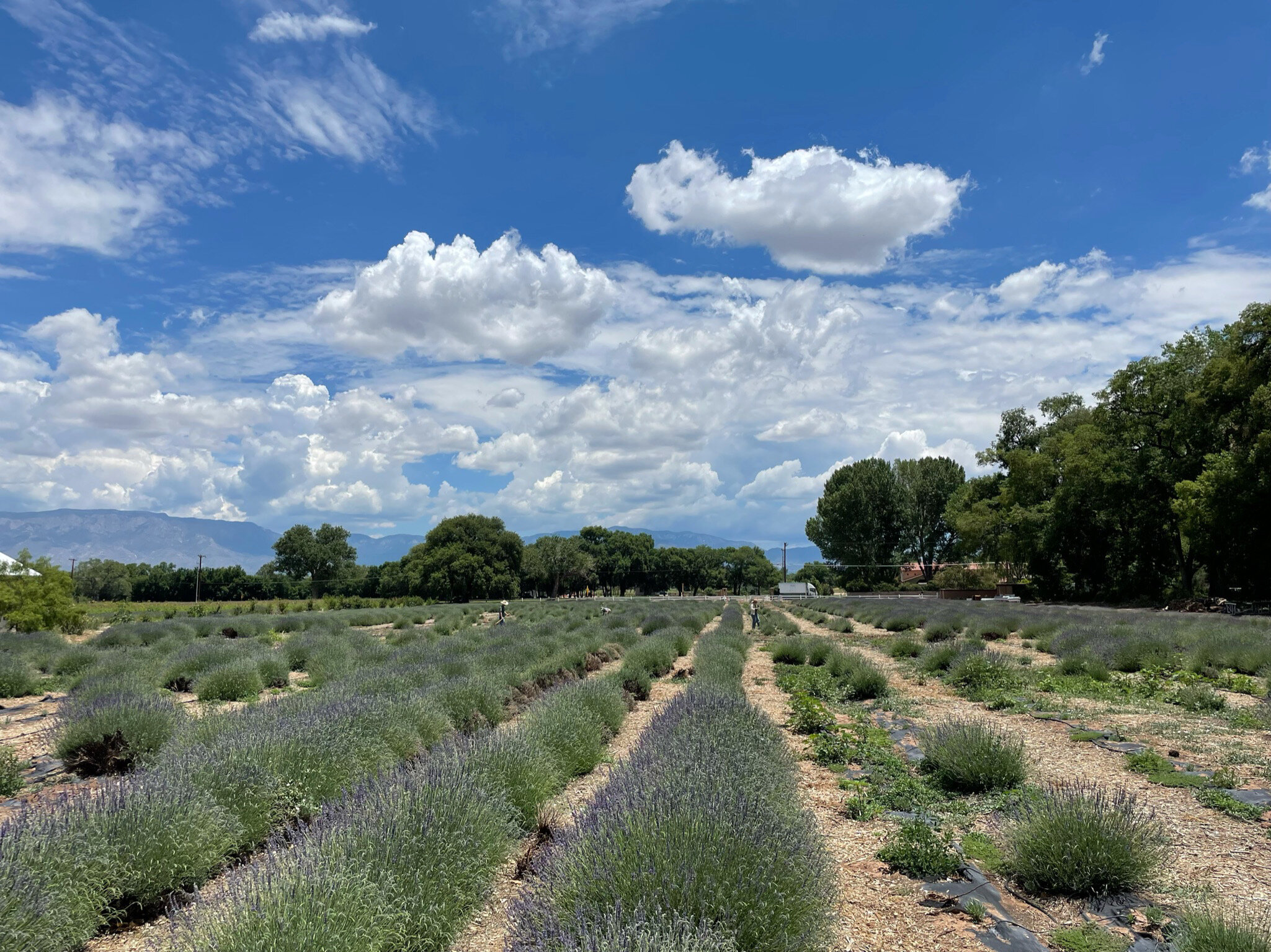 Los Poblanos, NM