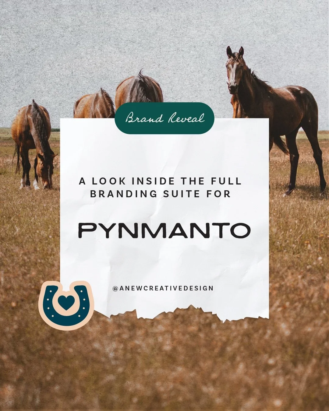 From the very first time I met Mel, I knew this rebrand was going to be something special 💚

What was meant to be an initial one-hour meeting turned into two, filled with conversation, laughter, and the kind of connection that instantly puts you at 