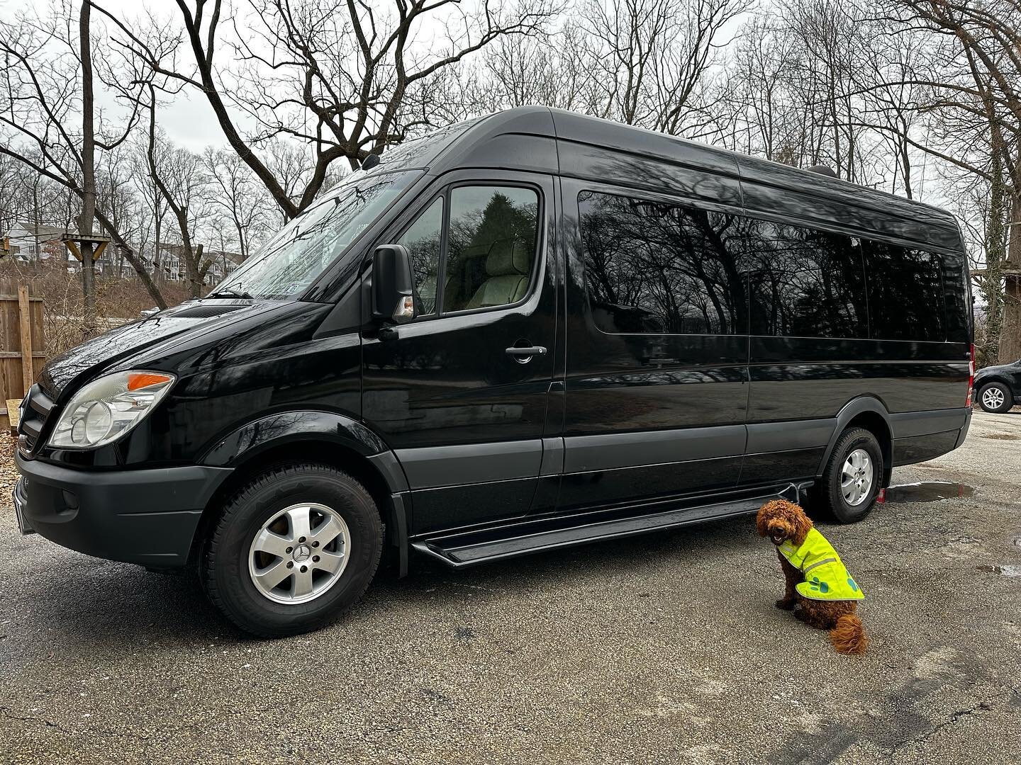 Big or small, we can do it all!

#directdetailingservices #mediapa #media #mainline #pa #delco #chestercountypa #car #wesrchester #montco #cars #carguy #carguystuff #windowtint #tinted #inprocess #demo #installation #auto #autodetailing #ppf