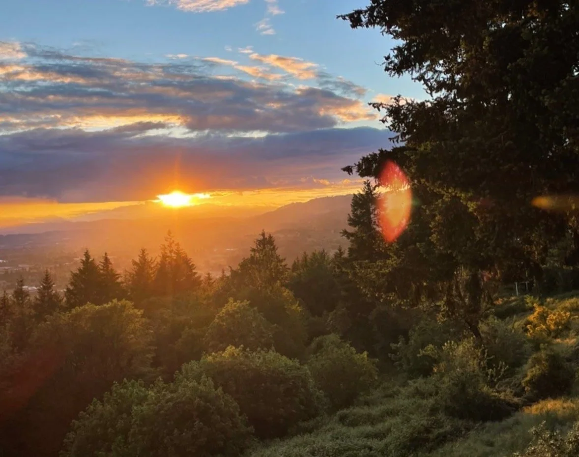 Truth, a beautifully offensive permanence 