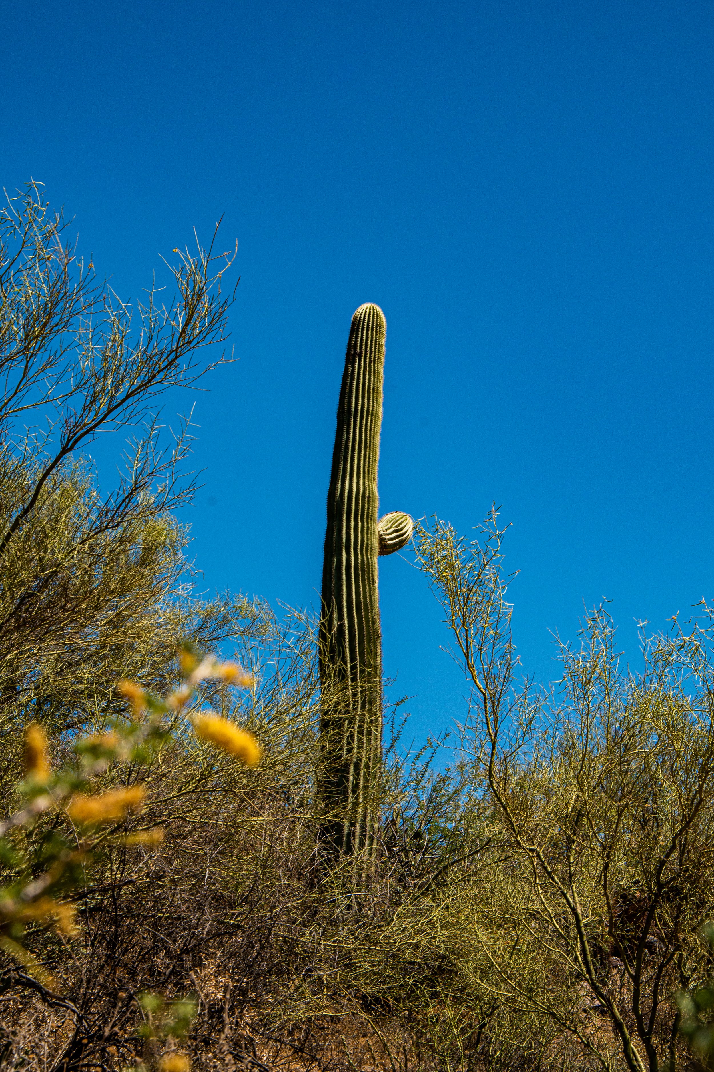 Roadtrip-112.jpg