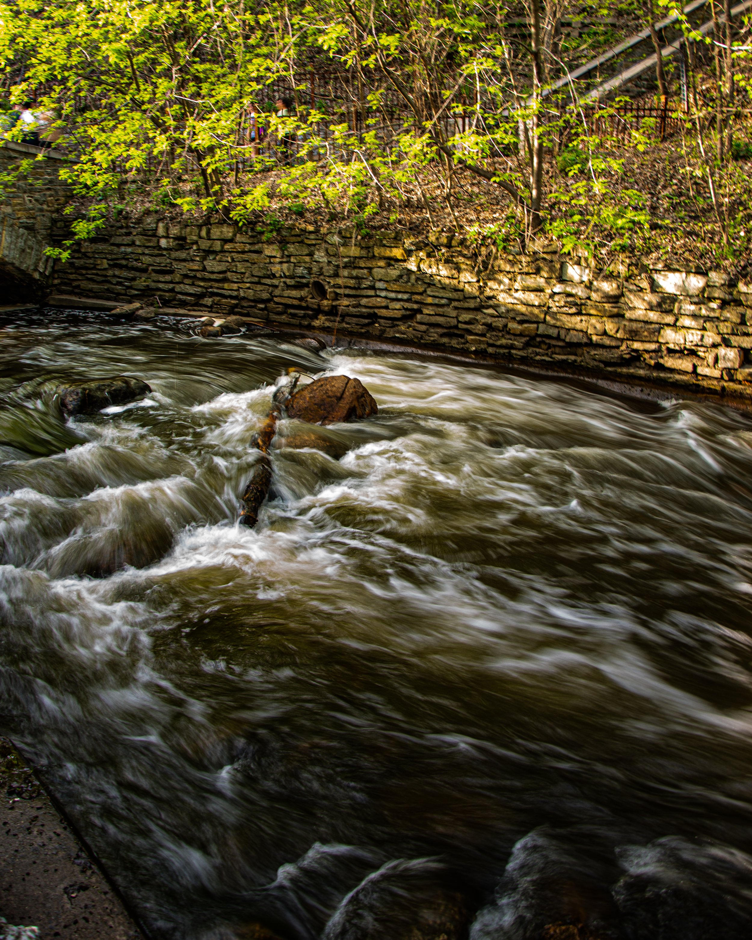 Minnehaha Round Two Pic-17.jpg