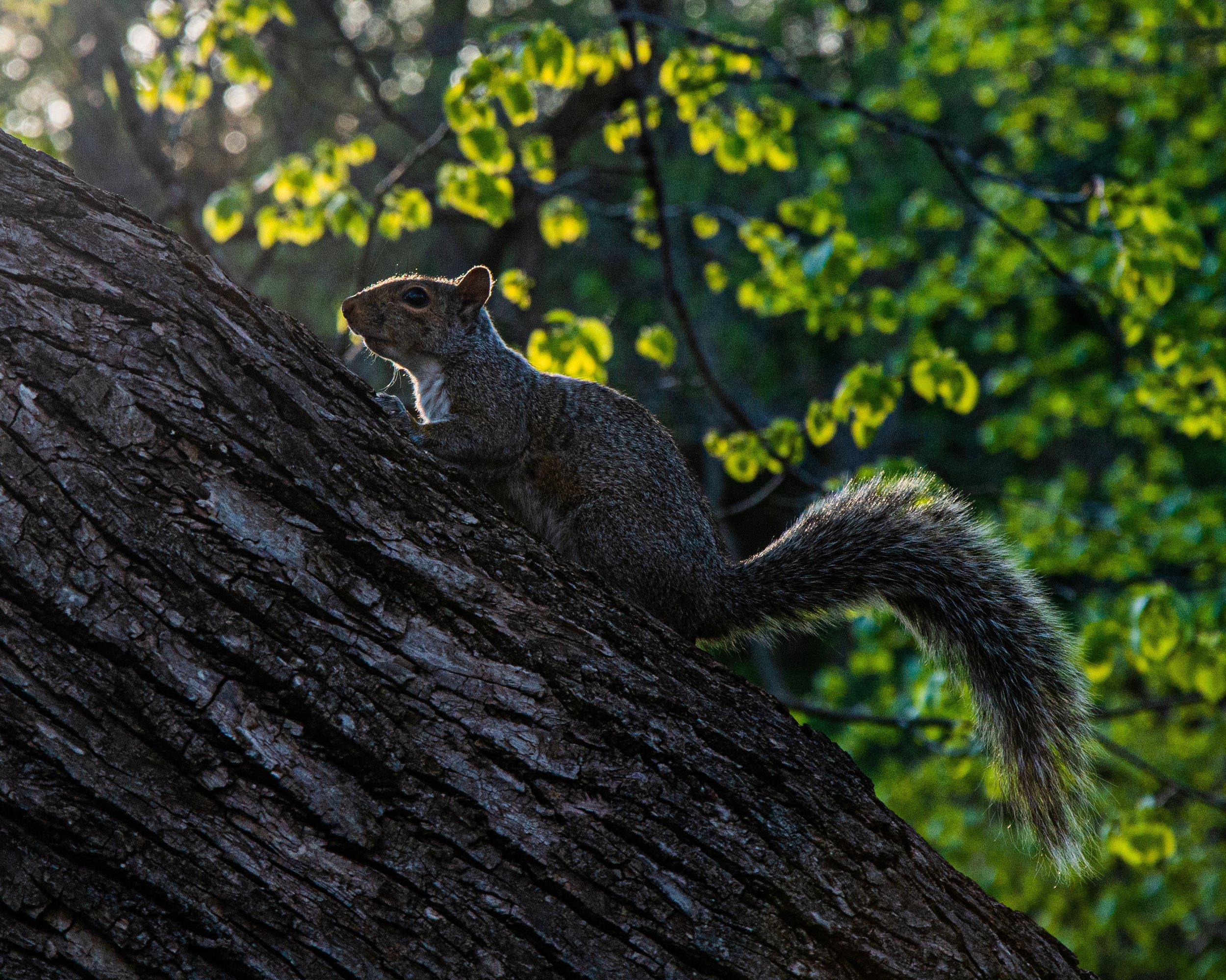 Minnehaha Round Two Pic-40.jpg