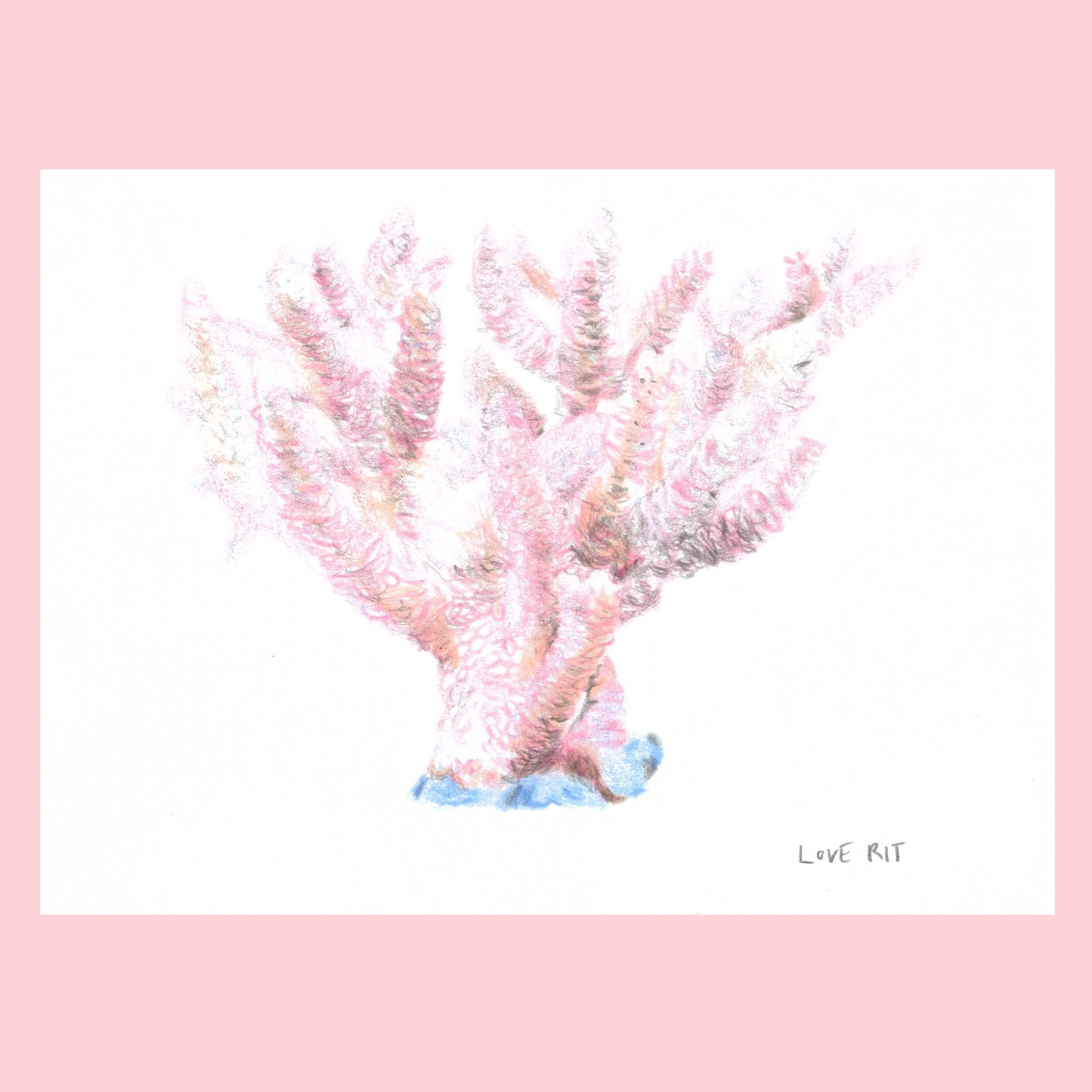 Coral