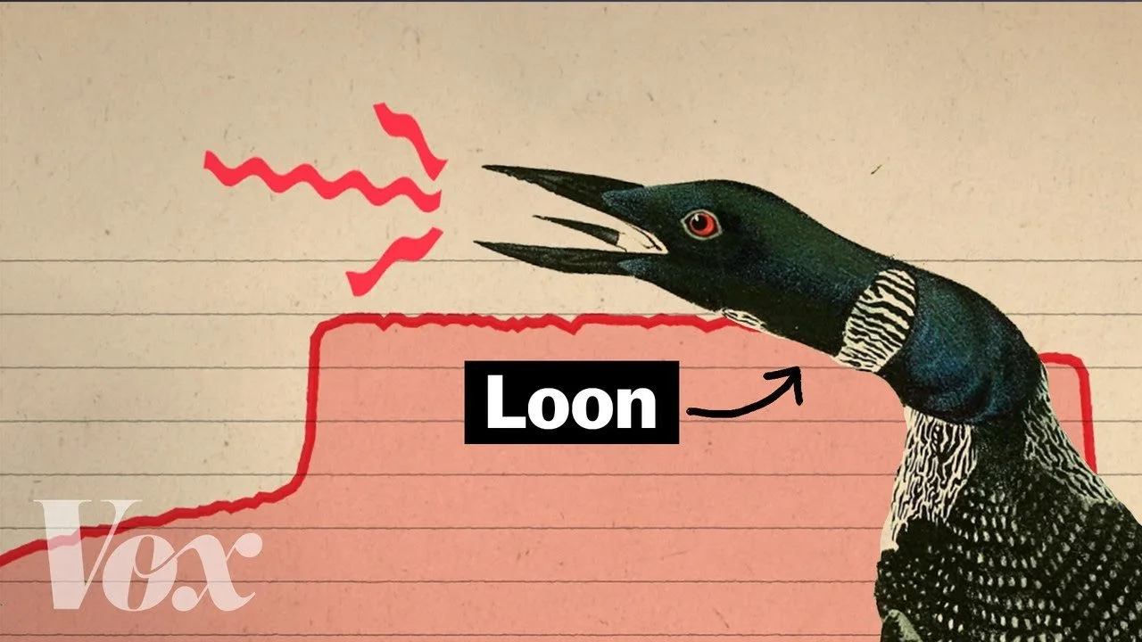 Why Hollywood loves this creepy bird call