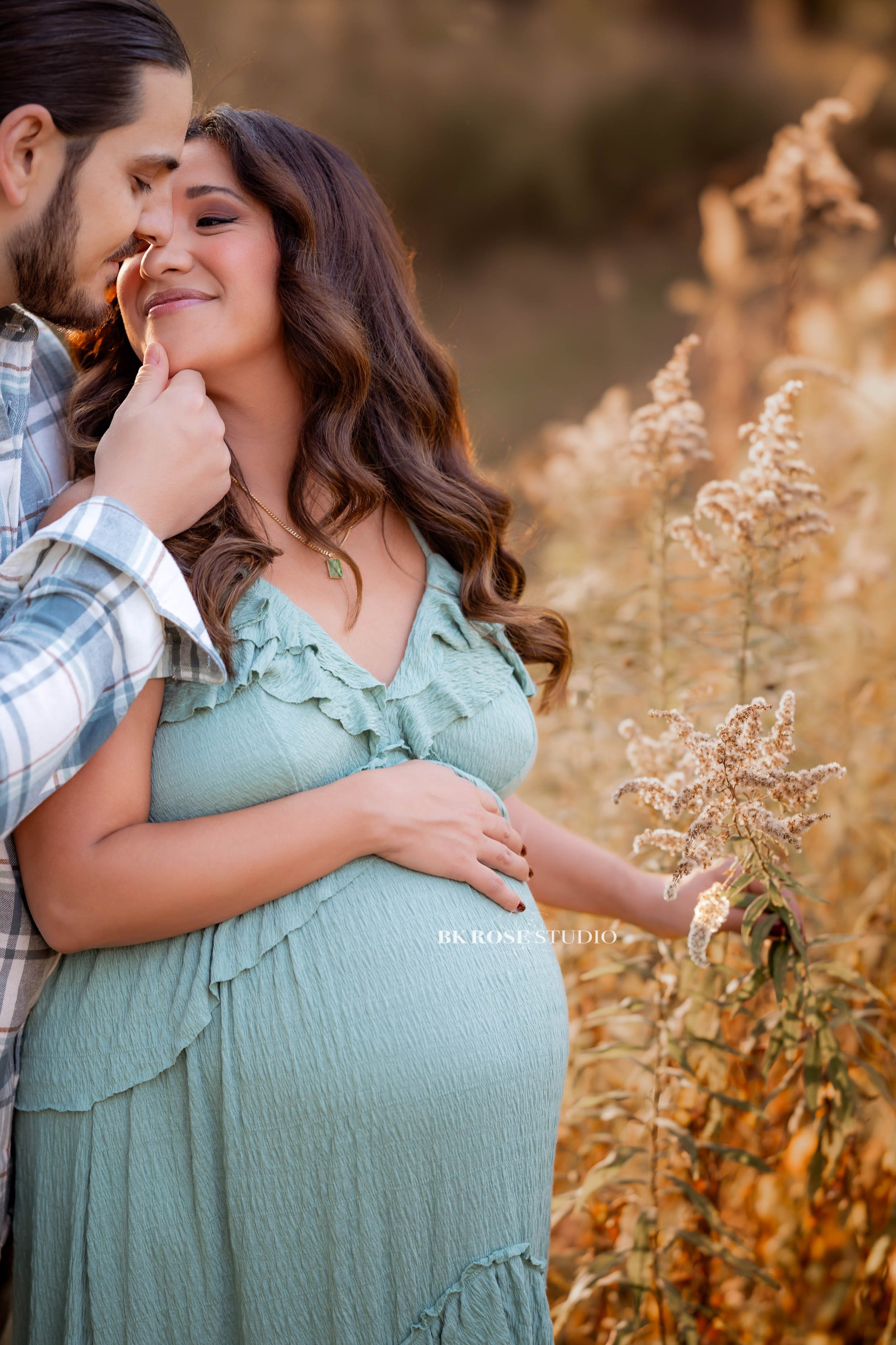 maternity-portrait-photographer-lake-county-il-19.jpg