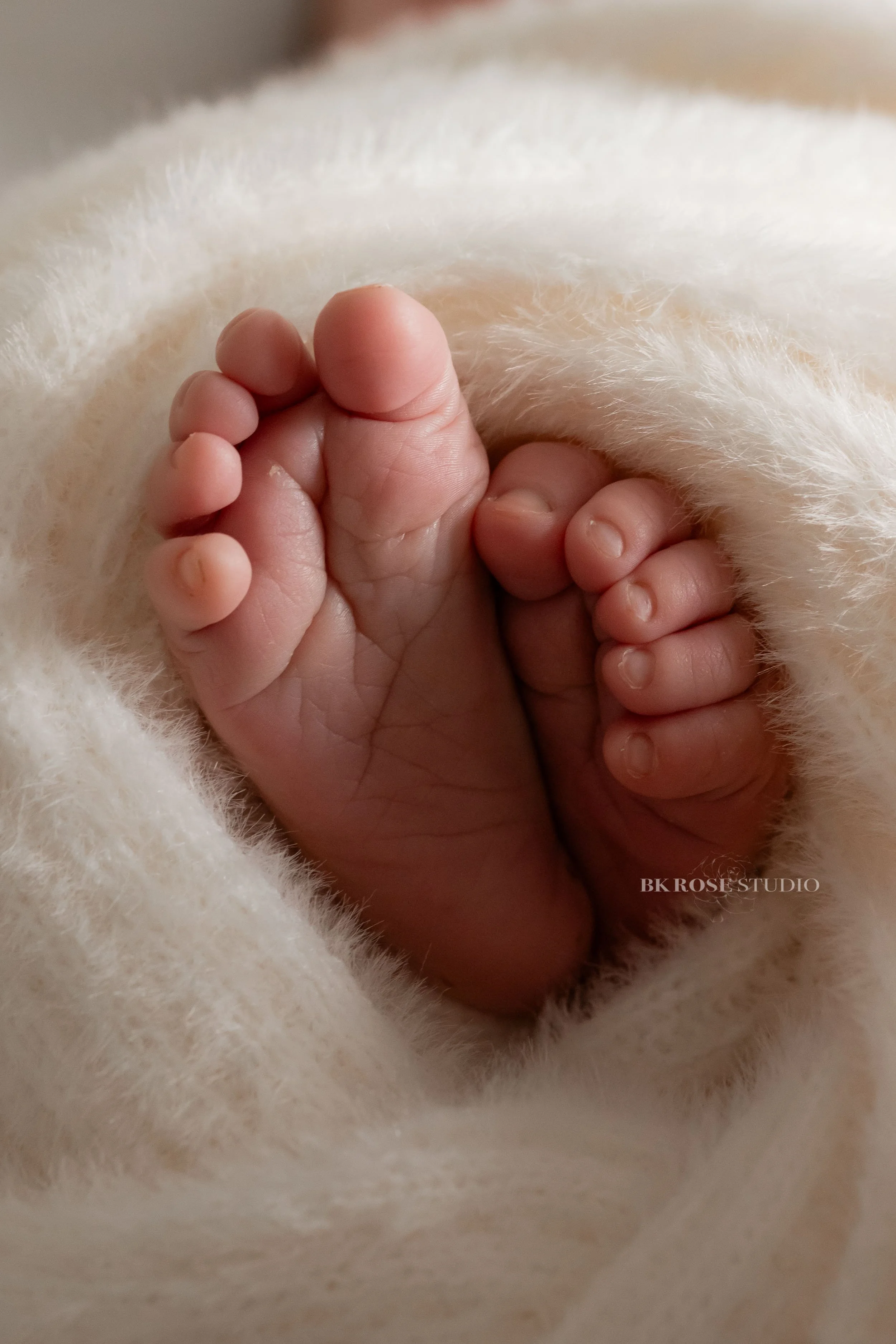 newborn-photographer-near-me-libertyville-illinois-55.jpg