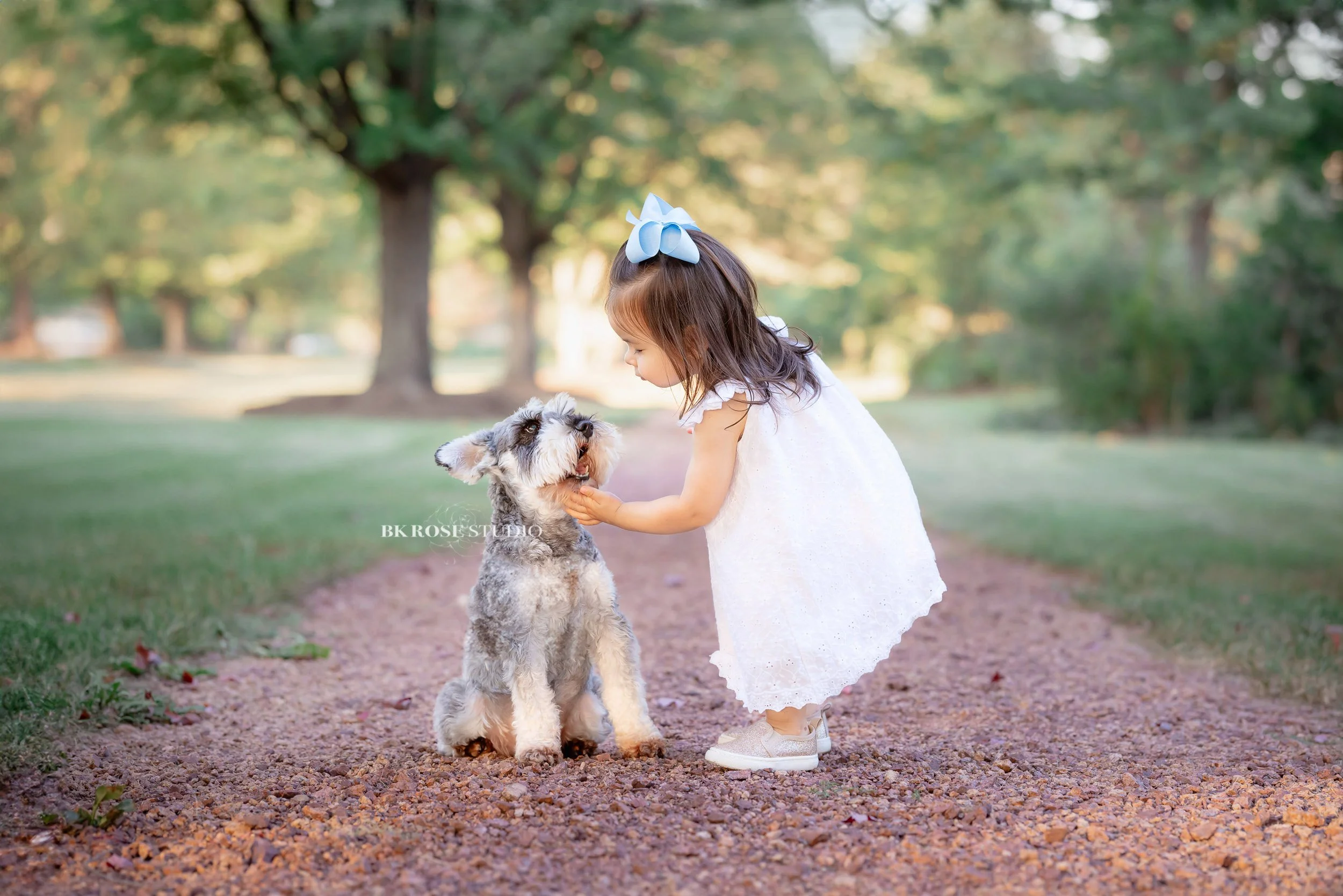 family-photographer-libertyville-illinois-bk-rose-studio-43.jpg