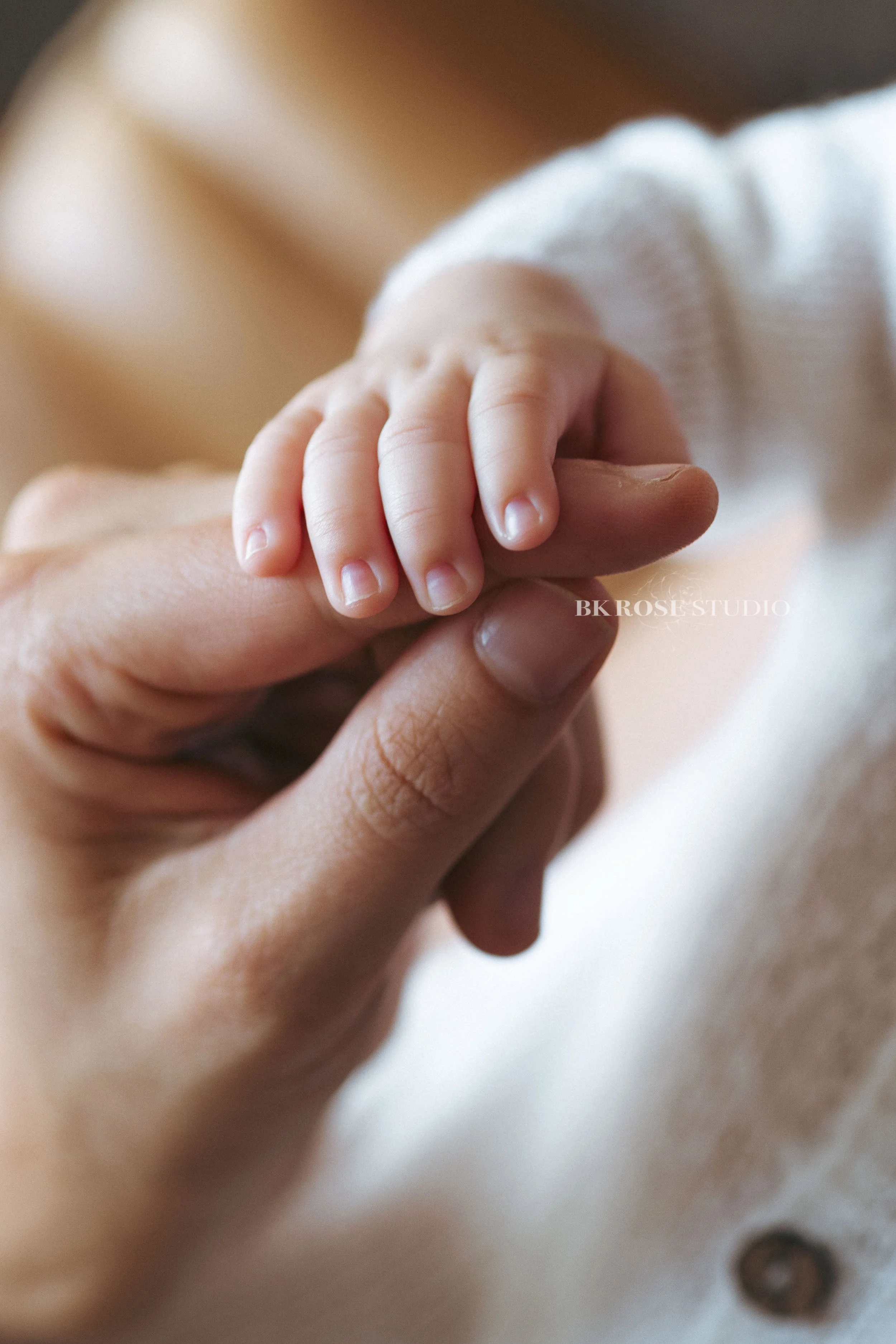 newborn-photographer-near-me-libertyville-illinois-61.jpg