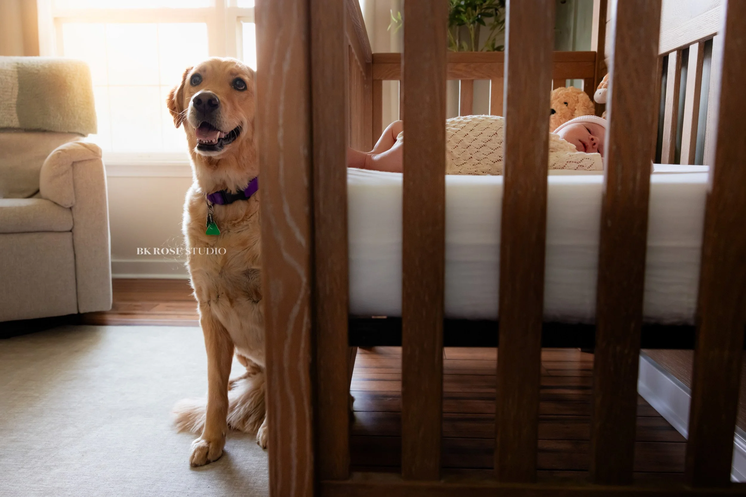 newborn-photographer-near-me-libertyville-illinois-24.jpg