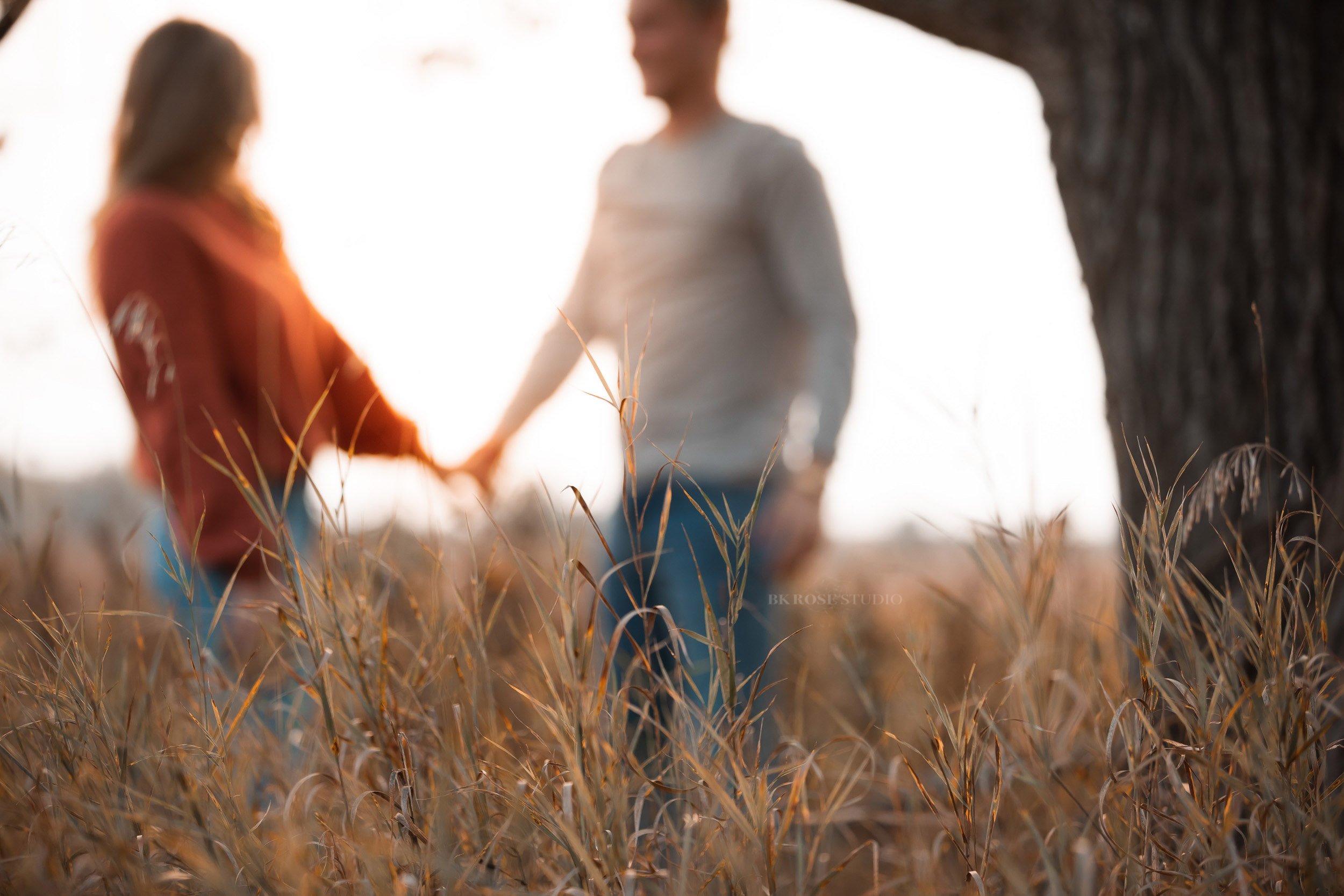 proposal-photographer-libertyville-illinois-1-5.jpg