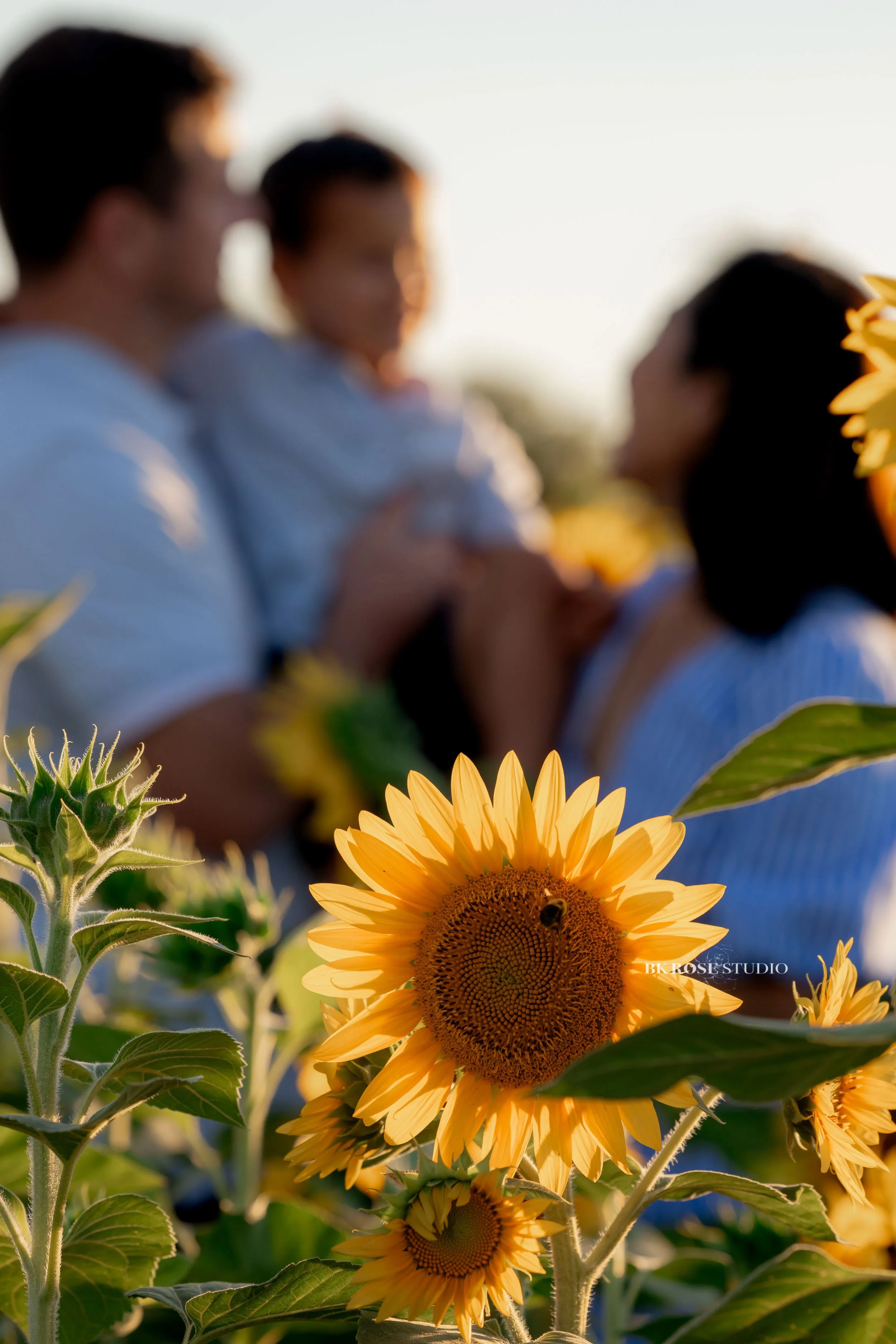 family-photographer-libertyville-illinois-bk-rose-studio-66.jpg