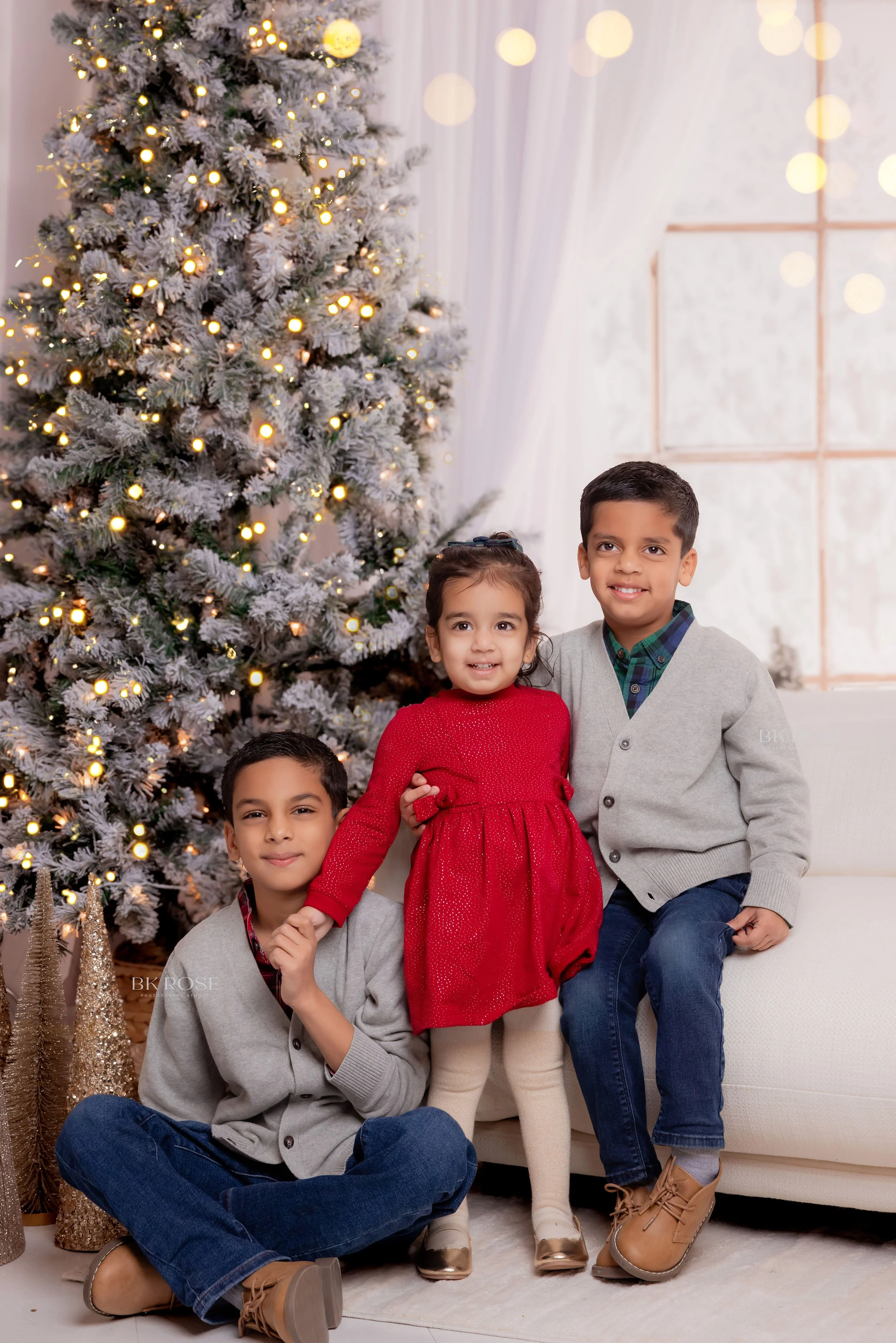 family.photographer.libertyville.bkrosestudio4.jpg