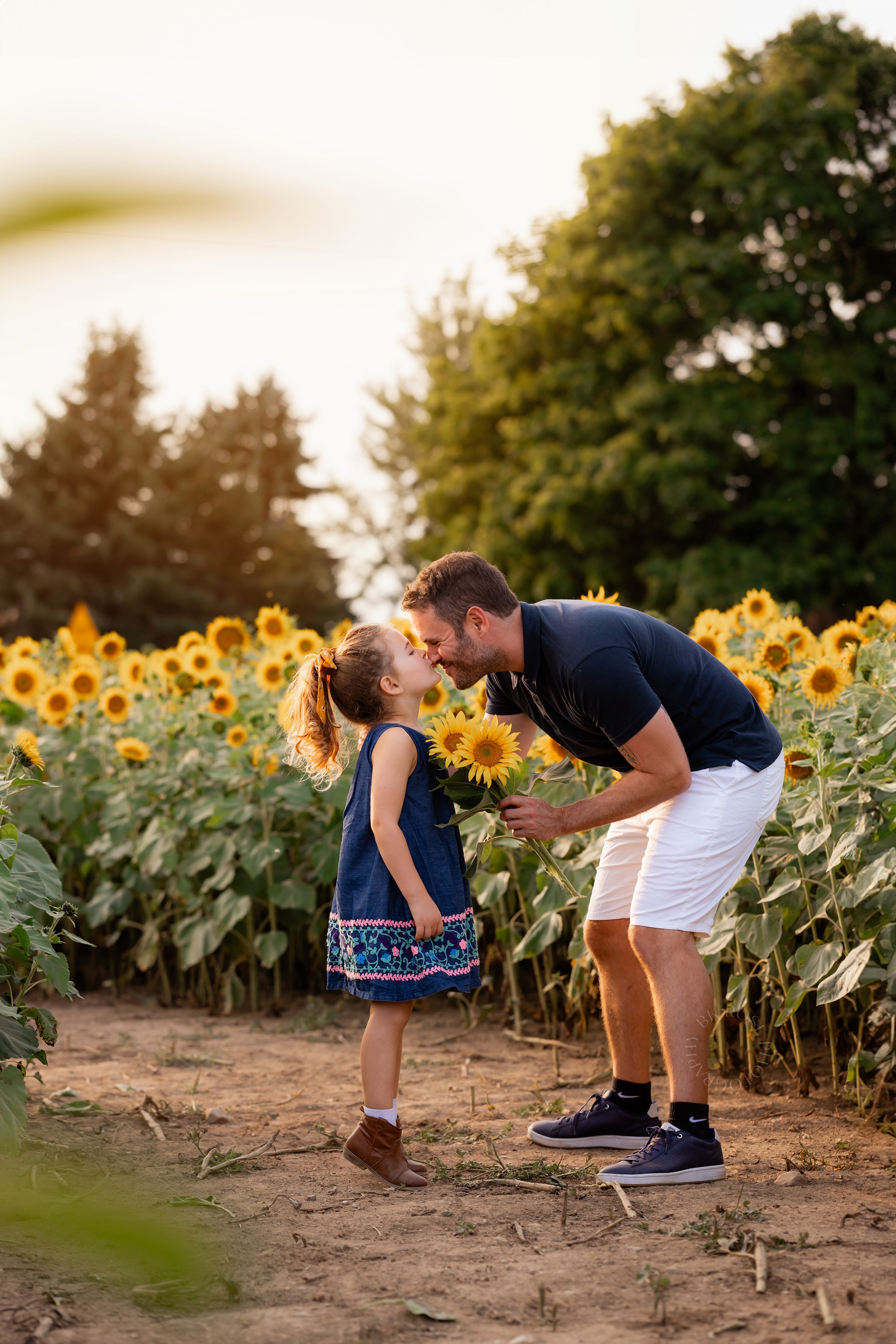 SunflowerFields24-12-web.jpg