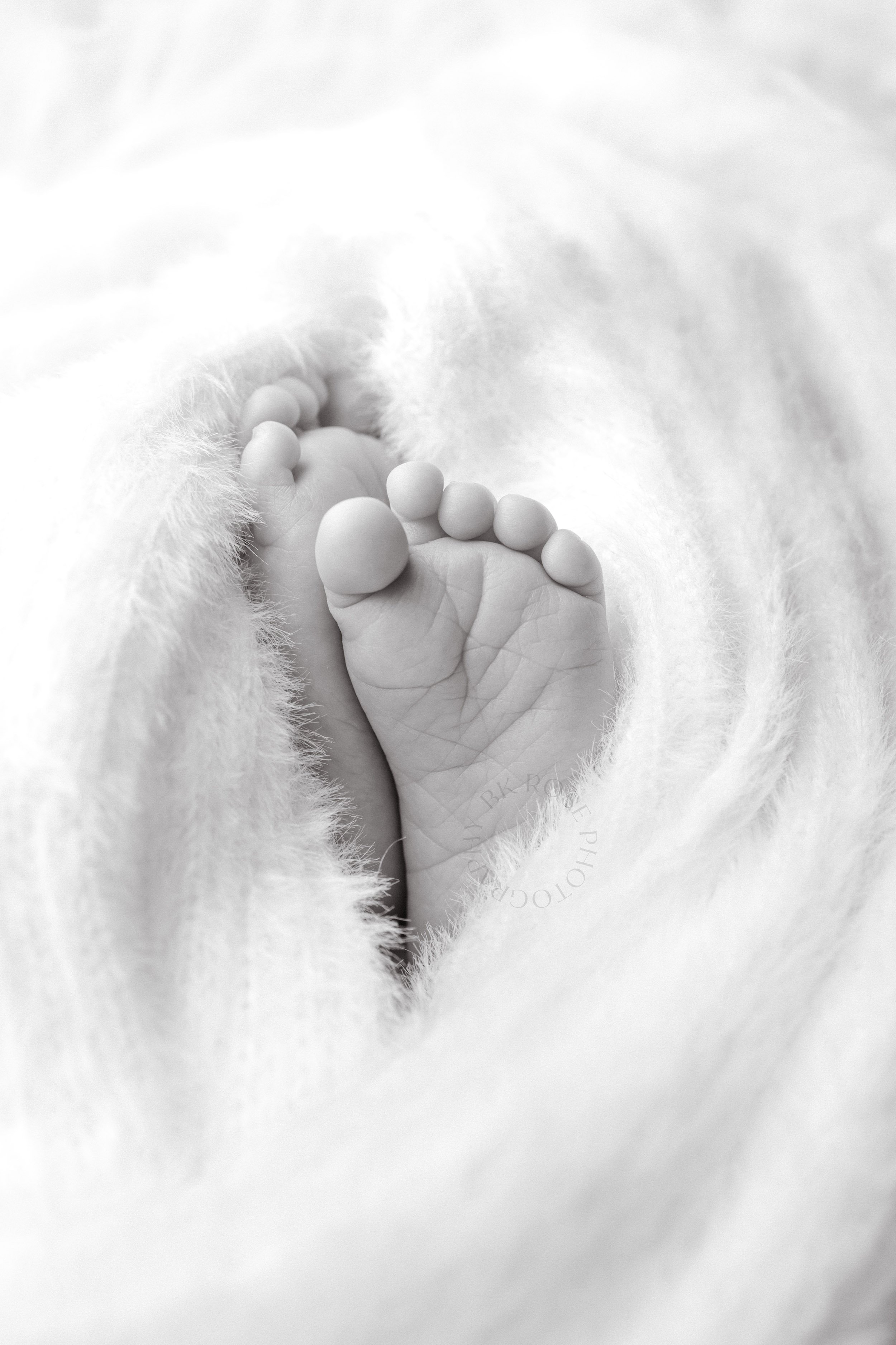 Newborn-photographer-bkrosestudio-7.jpg